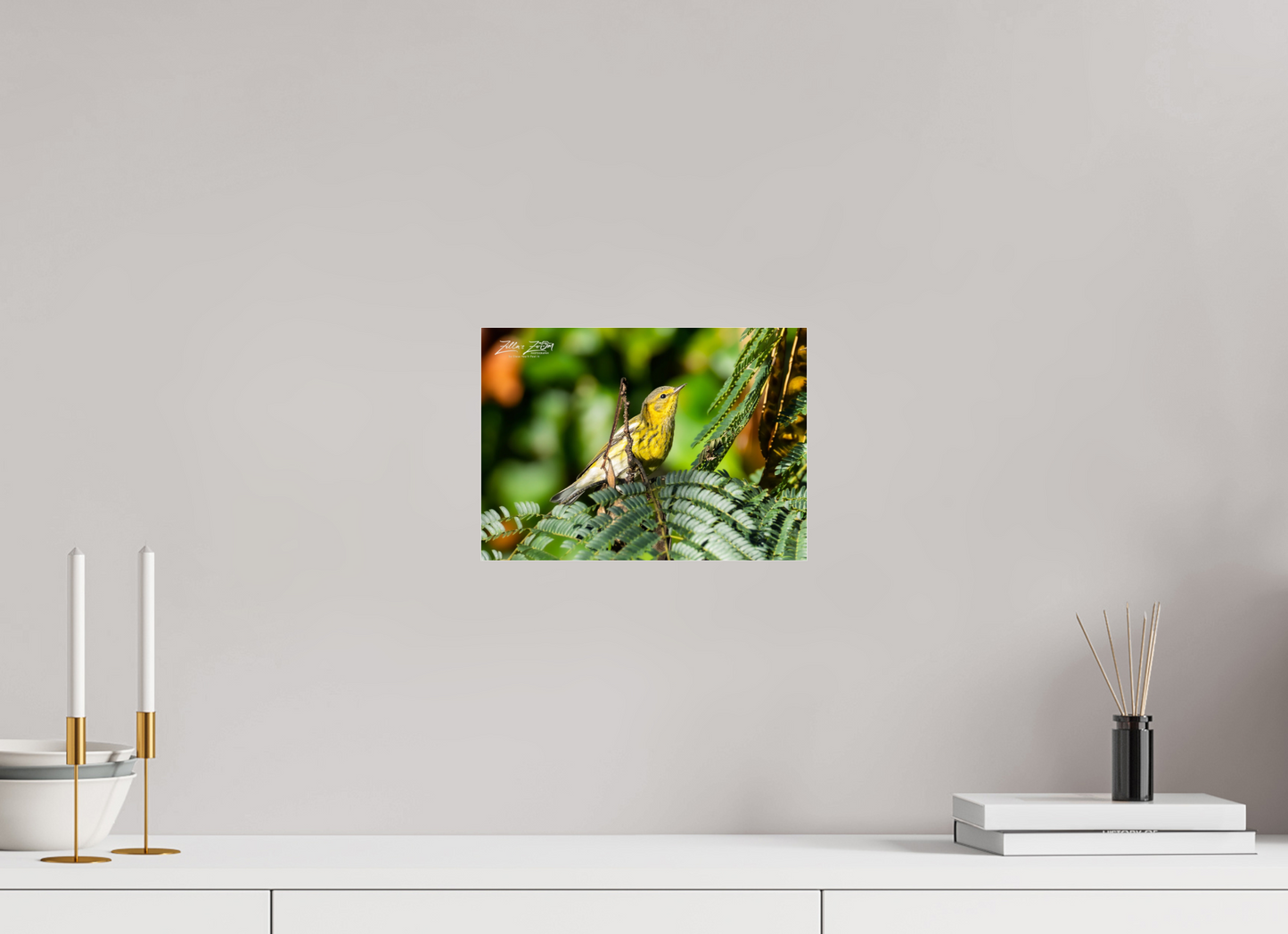 11.2 x 8″, Photo Print Under Acrylic Glass Zillas Zoom Image 290