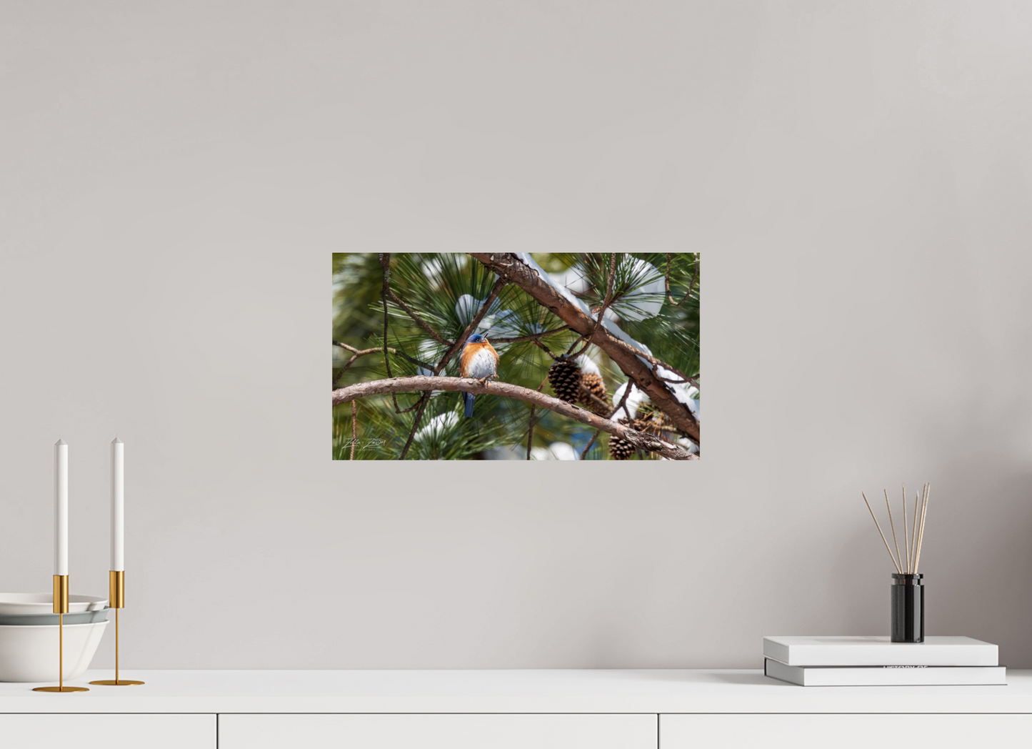 16 x 9″, Photo Print On Fuji Crystal DP II Zillas Zoom Image 314