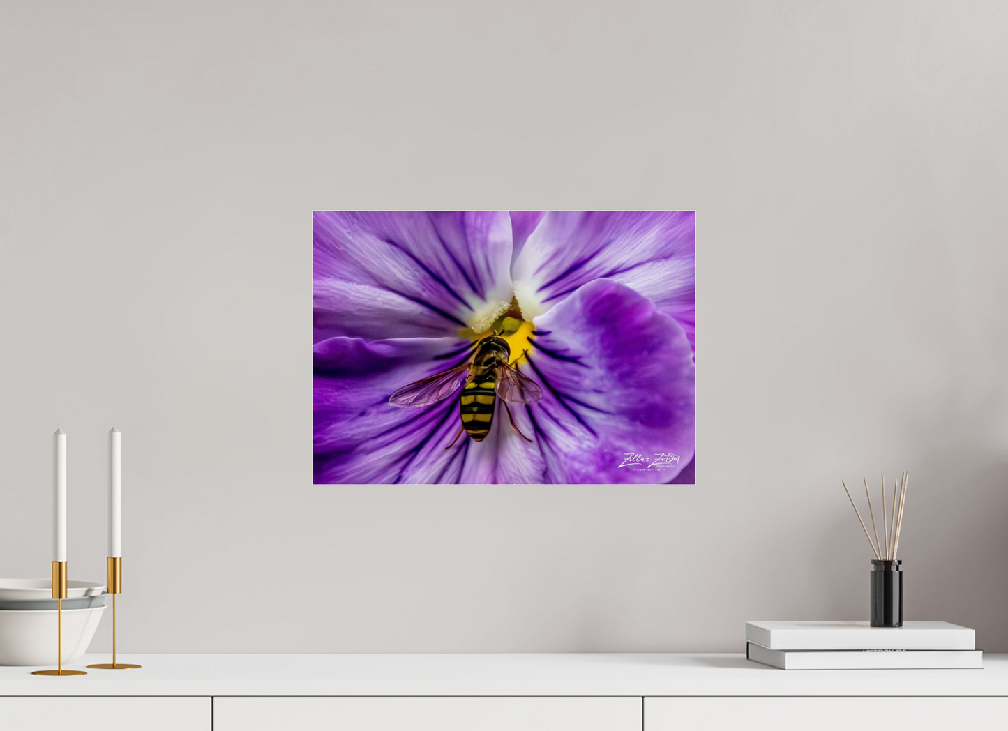 16.8 x 12″, Photo Print Under Acrylic Glass Zillas Zoom Image 103