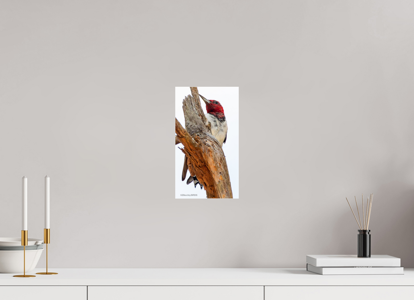 6.8 x 12″, Photo Print Under Acrylic Glass Zillas Zoom Image 439