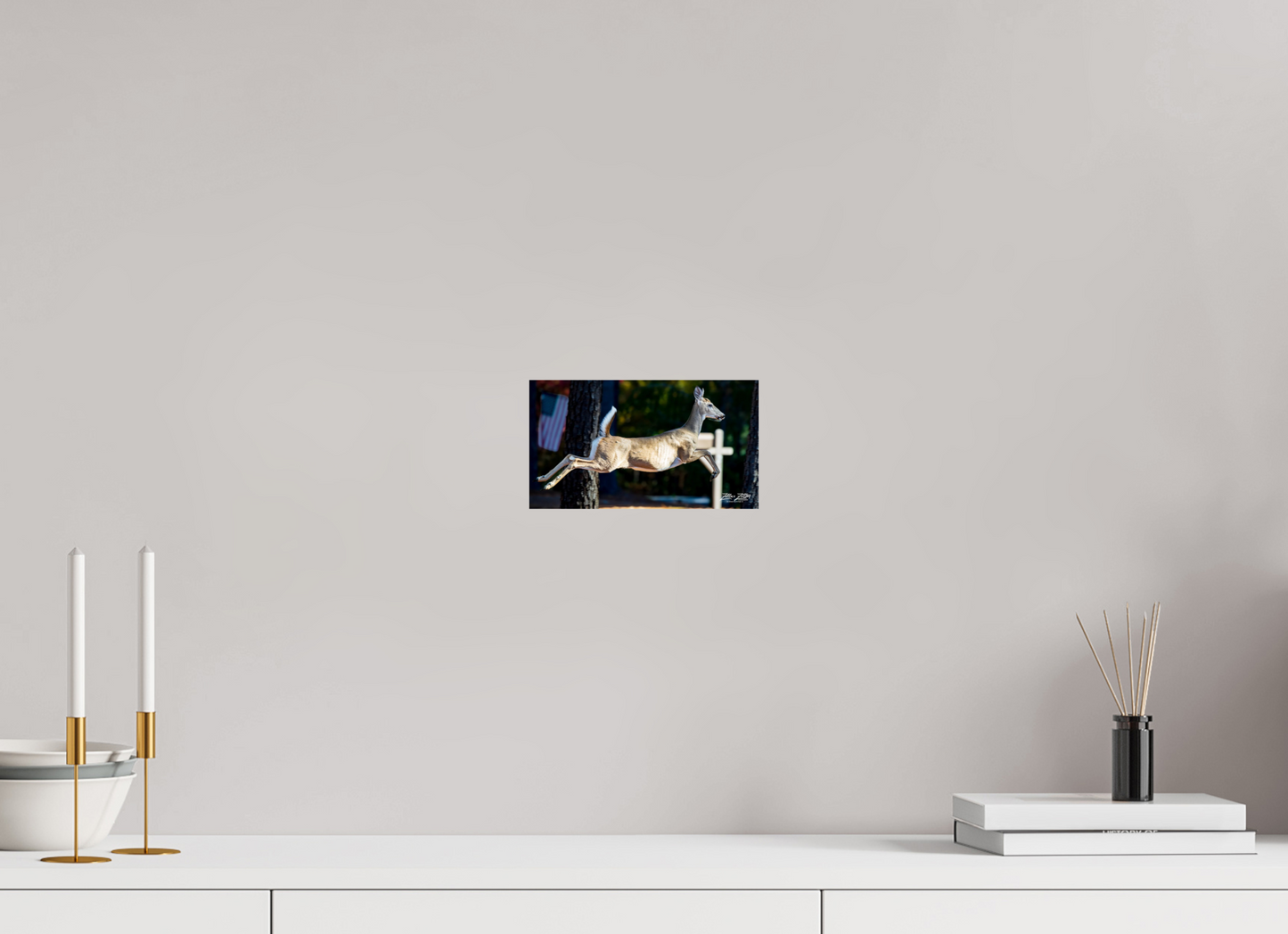 8 x 4.5″, Photo Print On Fuji Crystal DP II Zillas zoom image 141