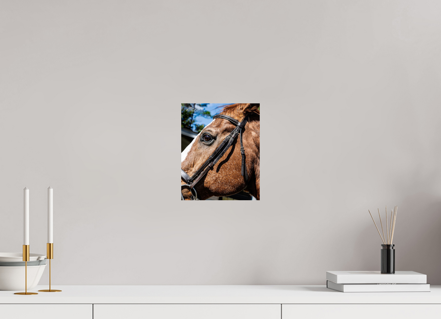 8 x 9.9″, Photo Print On Fuji Crystal DP II Zillas zoom image 149