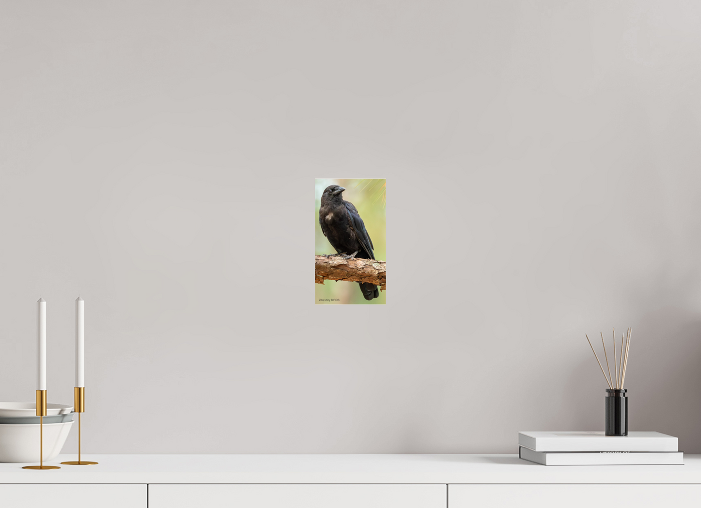4.5 x 8″, Photo Print Under Acrylic Glass Zillas Zoom Image 479