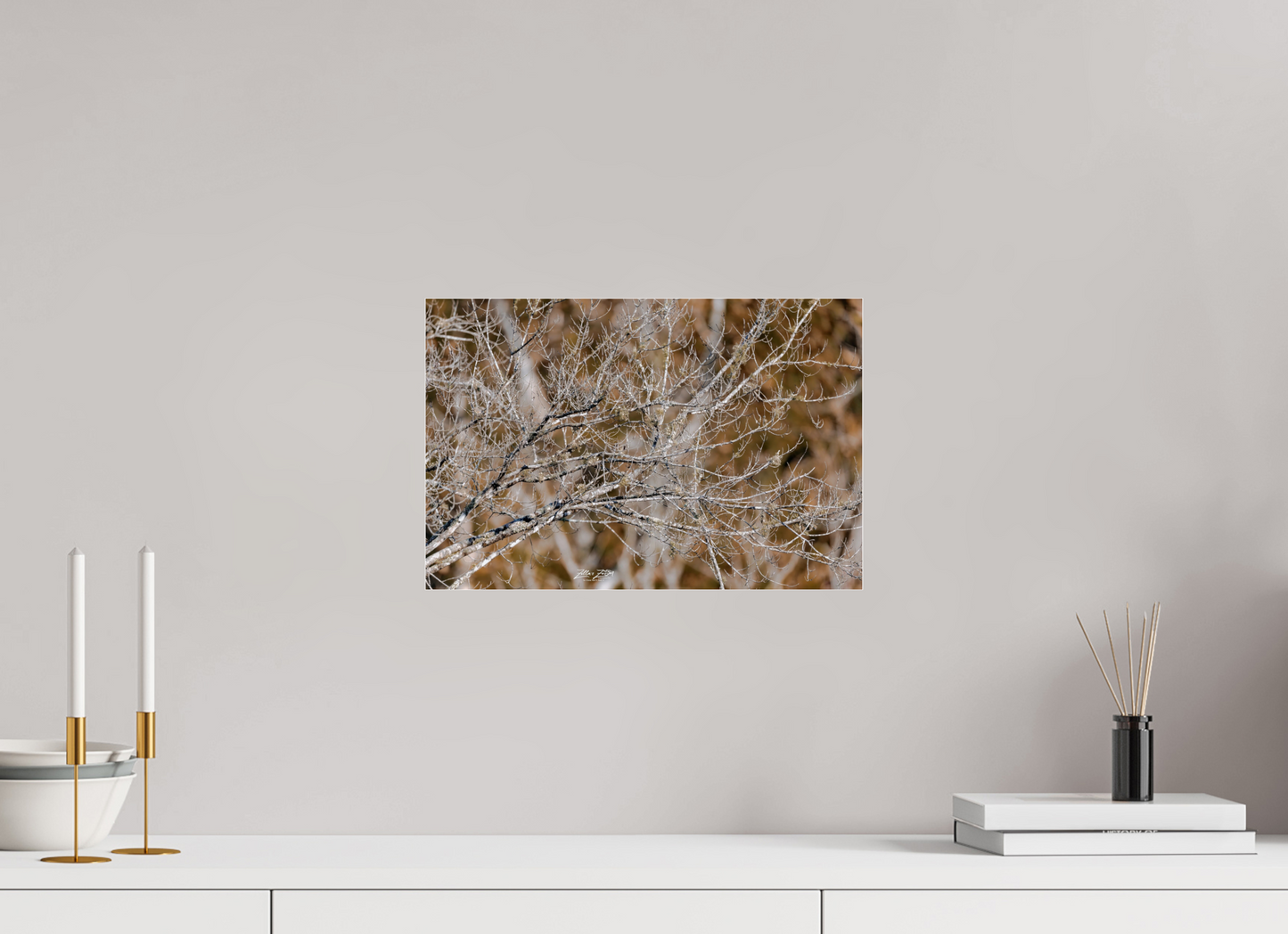 15 x 10″, Photo Print Under Acrylic Glass Zillas Zoom Image 235