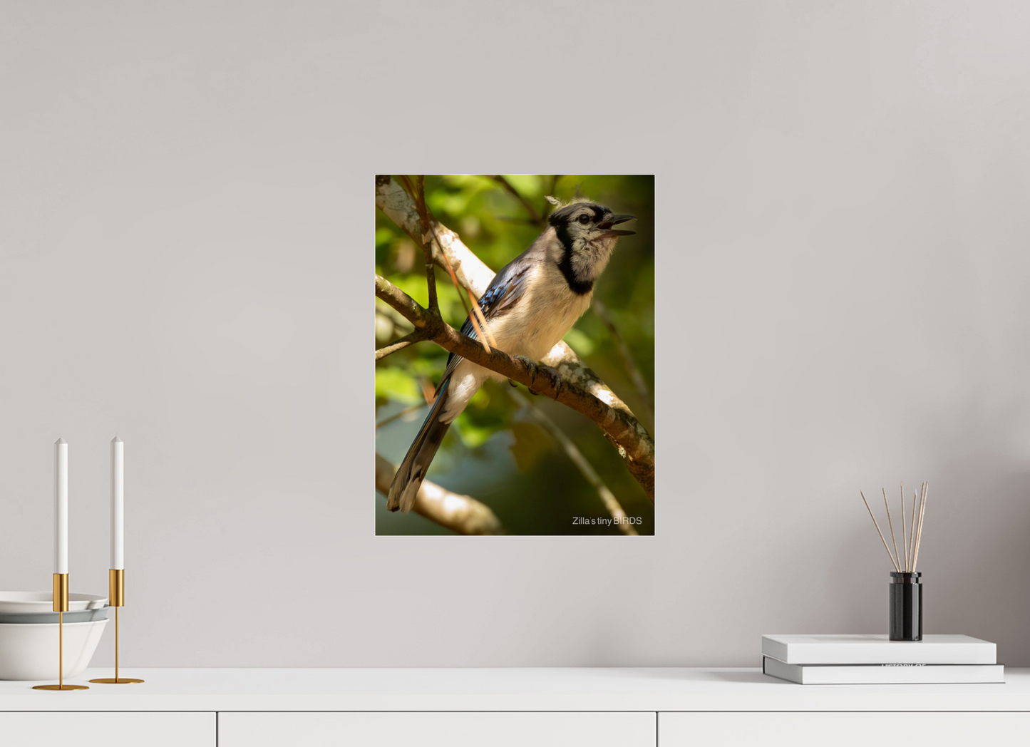 12 x 15.5″, Photo Print Under Acrylic Glass Zillas Zoom Image 517