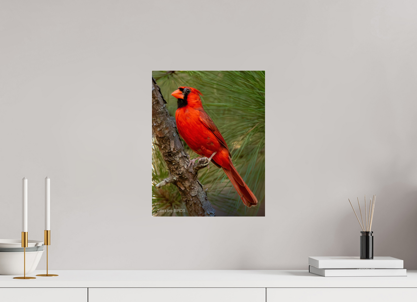 12 x 15.5″, Photo Print Under Acrylic Glass Zillas Zoom Image 521