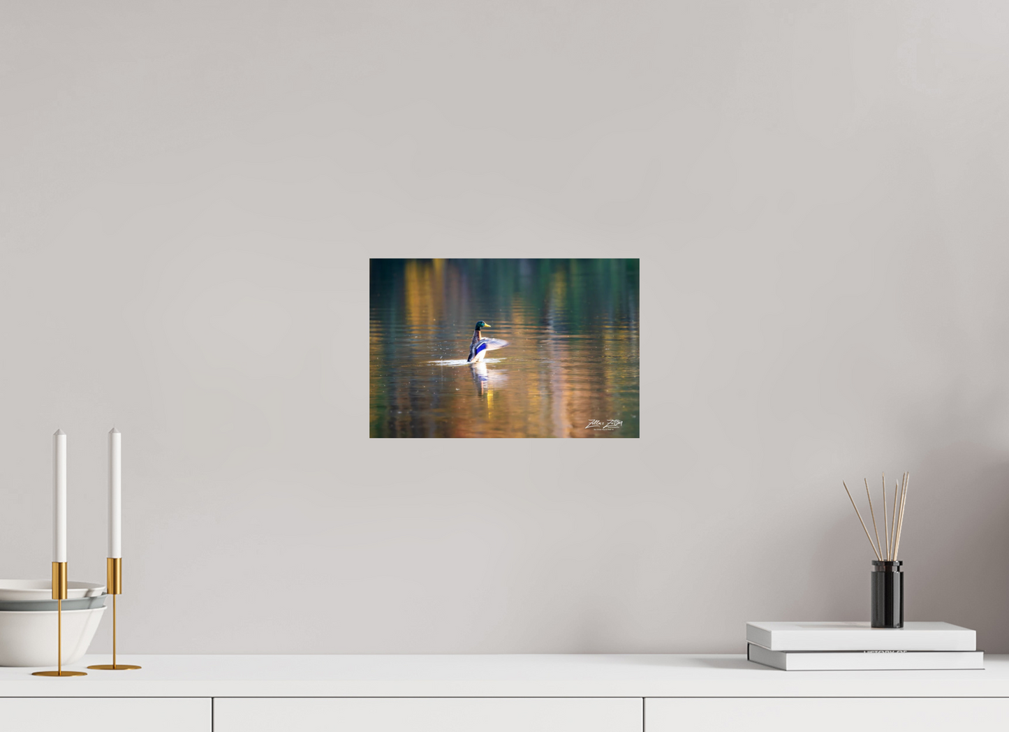 12 x 8″, Photo Print On Fuji Crystal DP II Zillas Zoom Image 345