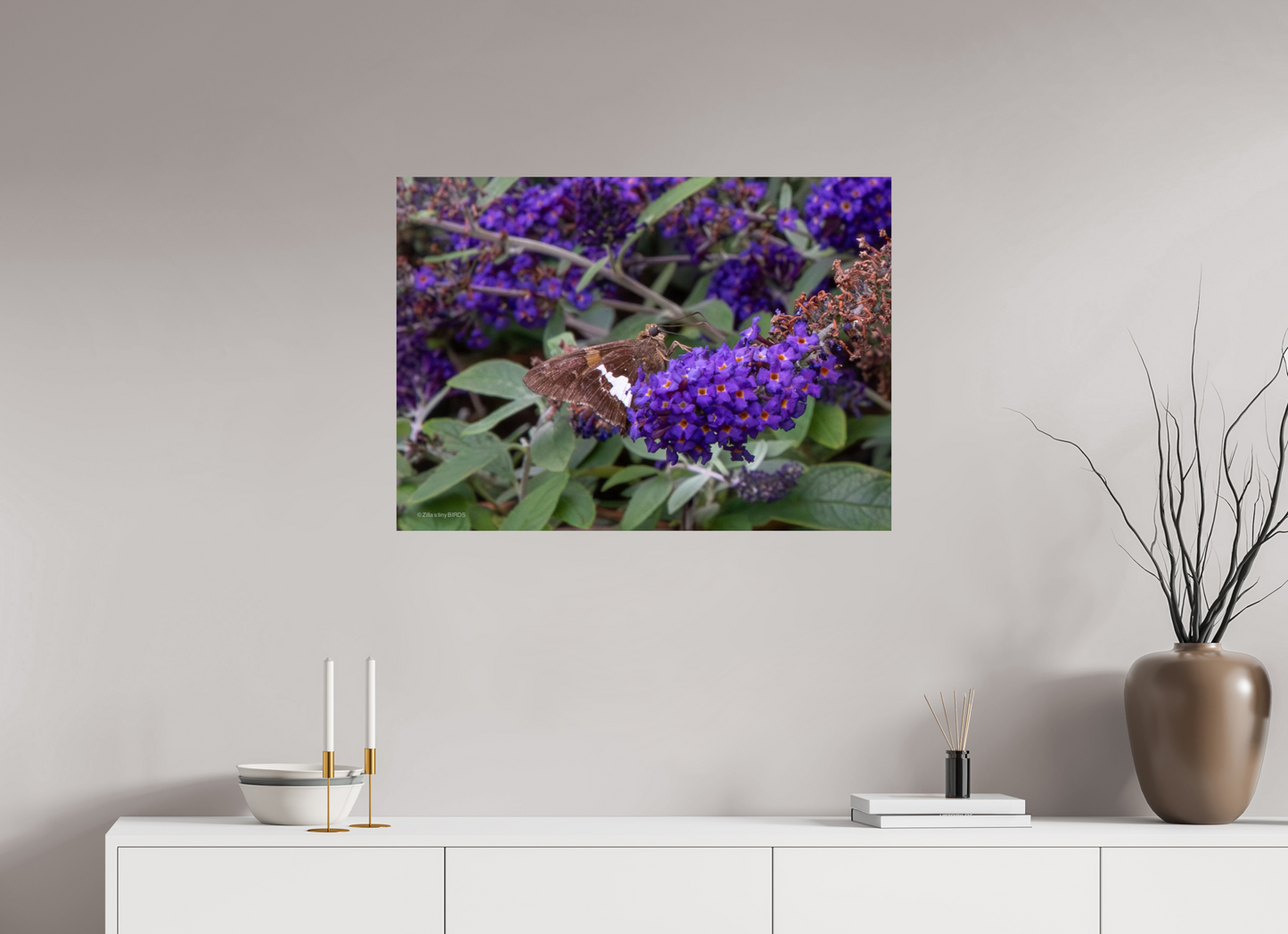 33.6 x 24″, Photo Print On Fuji Crystal DP II Zillas Zoom Image 60