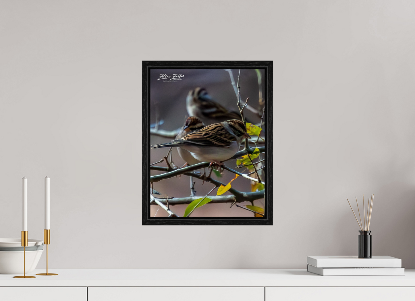 12 x 15.5″, Floater Frame Zillas Zoom Image 427