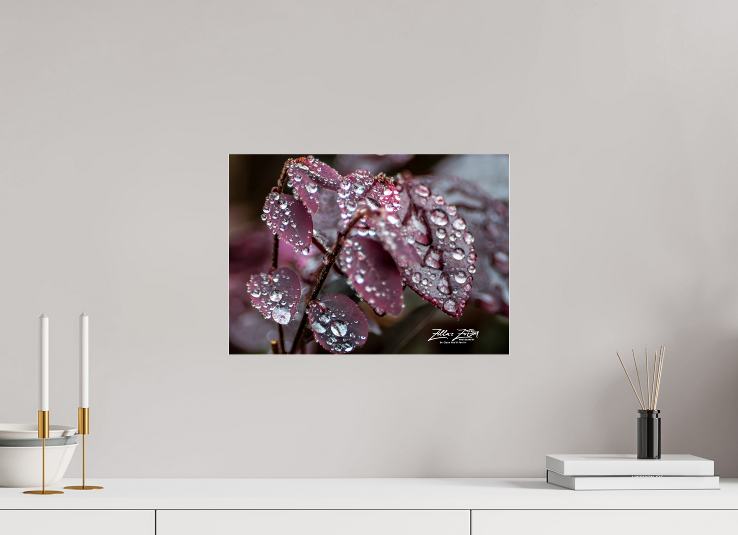 16.8 x 12″, Photo Print Under Acrylic Glass Zillas Zoom Image 100