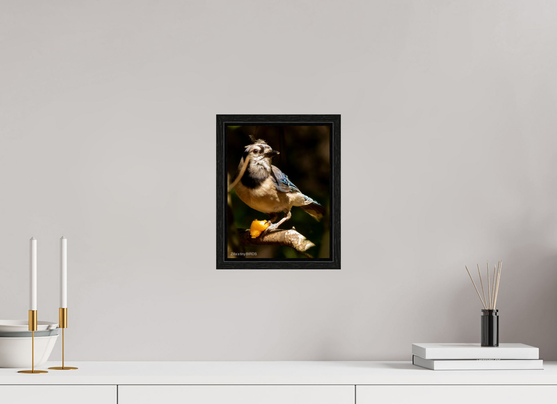 8 x 10.4″, Floater Frame Zillas Zoom Image 480