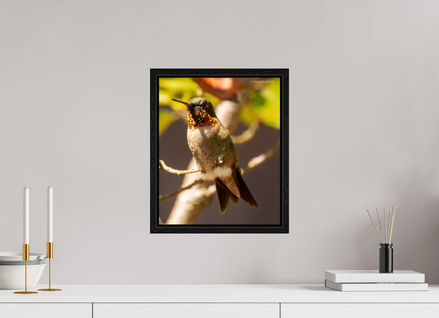 12 x 14.6″, Floater Frame Zillas Zoom Image 454