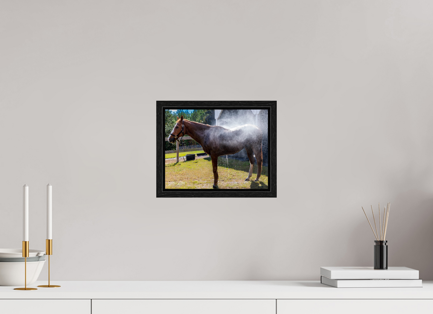 10.4 x 8″, Floater Frame Zillas zoom image 145
