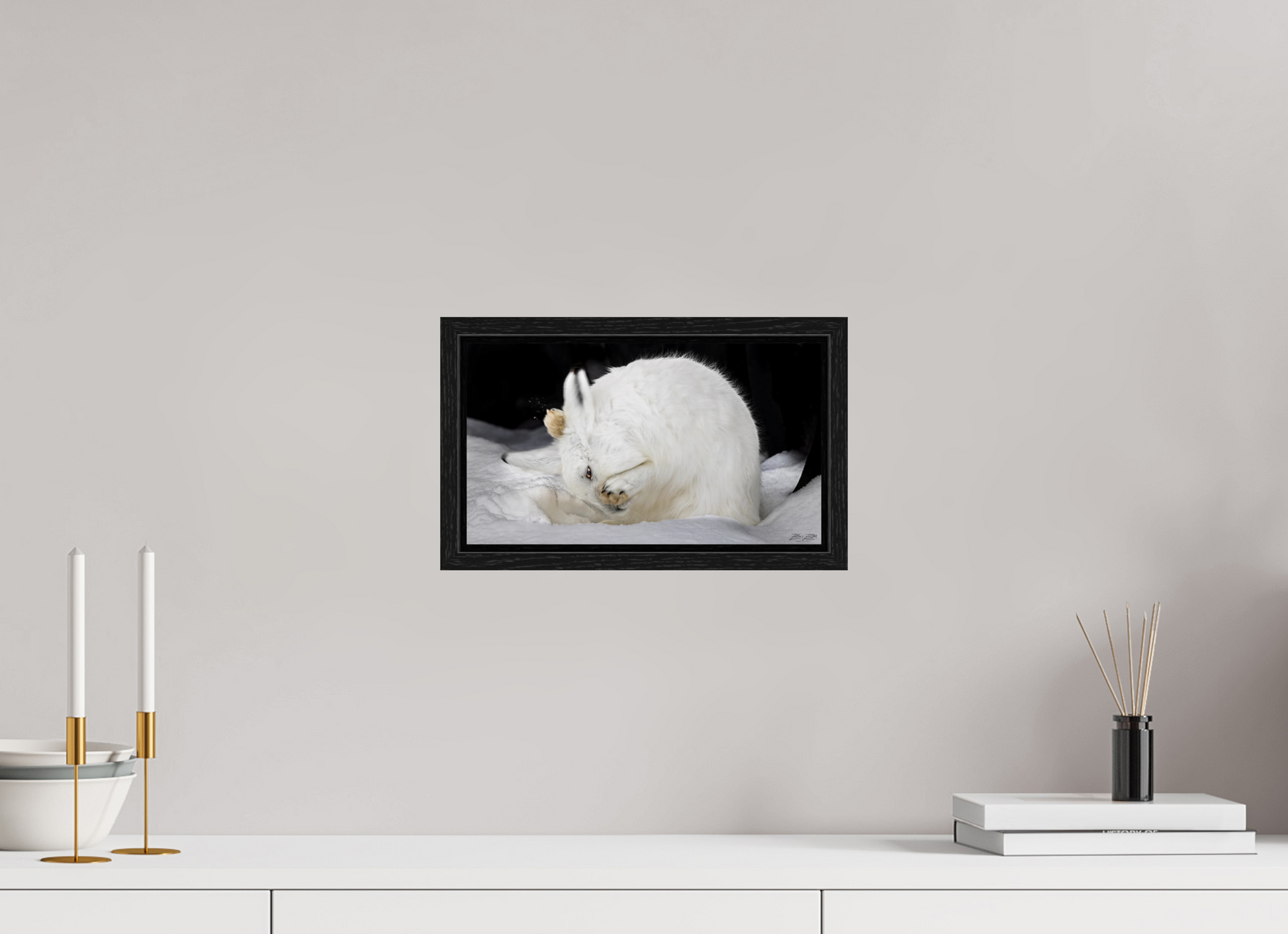 12 x 6.8″, Floater Frame Zillas zoom image 142