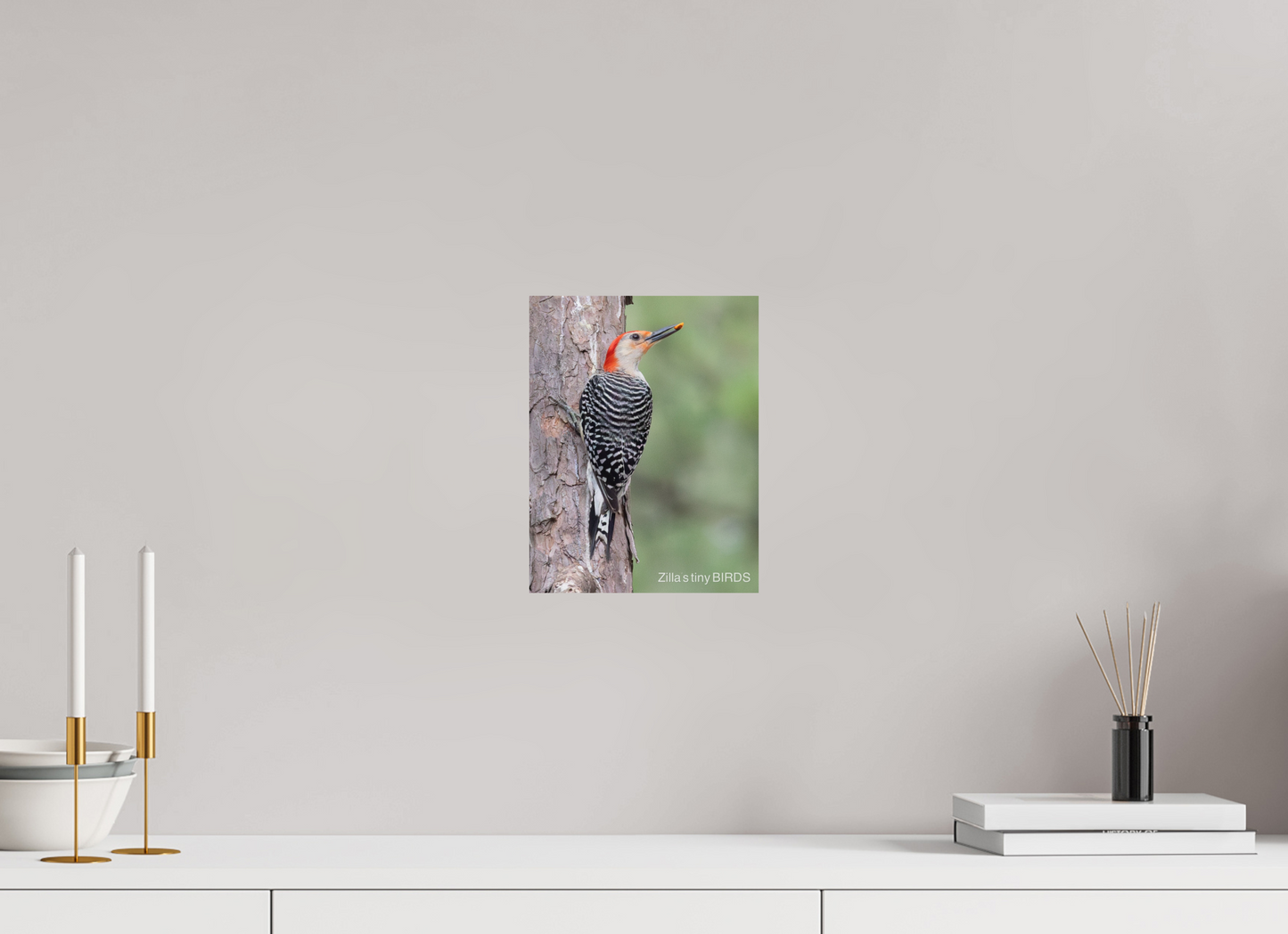 8 x 10.4″, Photo Print On Fuji Crystal DP II Zillas Zoom Image 510