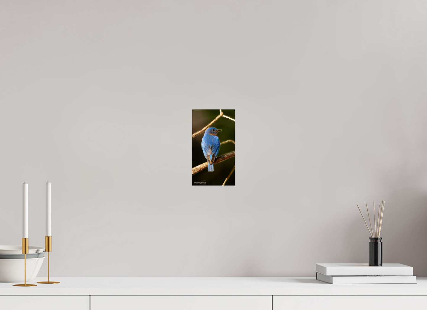4.5 x 8″, Photo Print On Fuji Crystal DP II Zillas Zoom Image 489