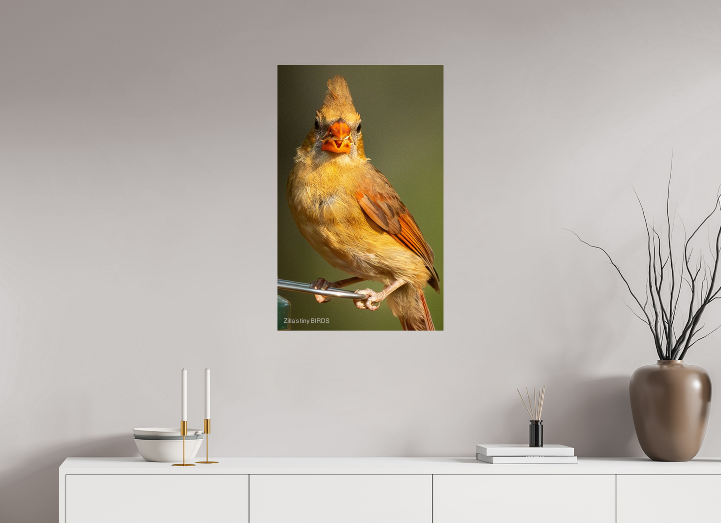 20 x 32″, Photo Print Under Acrylic Glass Zillas Zoom Image 509