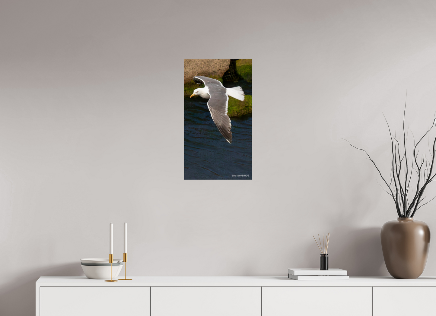 13.5 x 24″, Photo Print Under Acrylic Glass Zillas Zoom Image 476