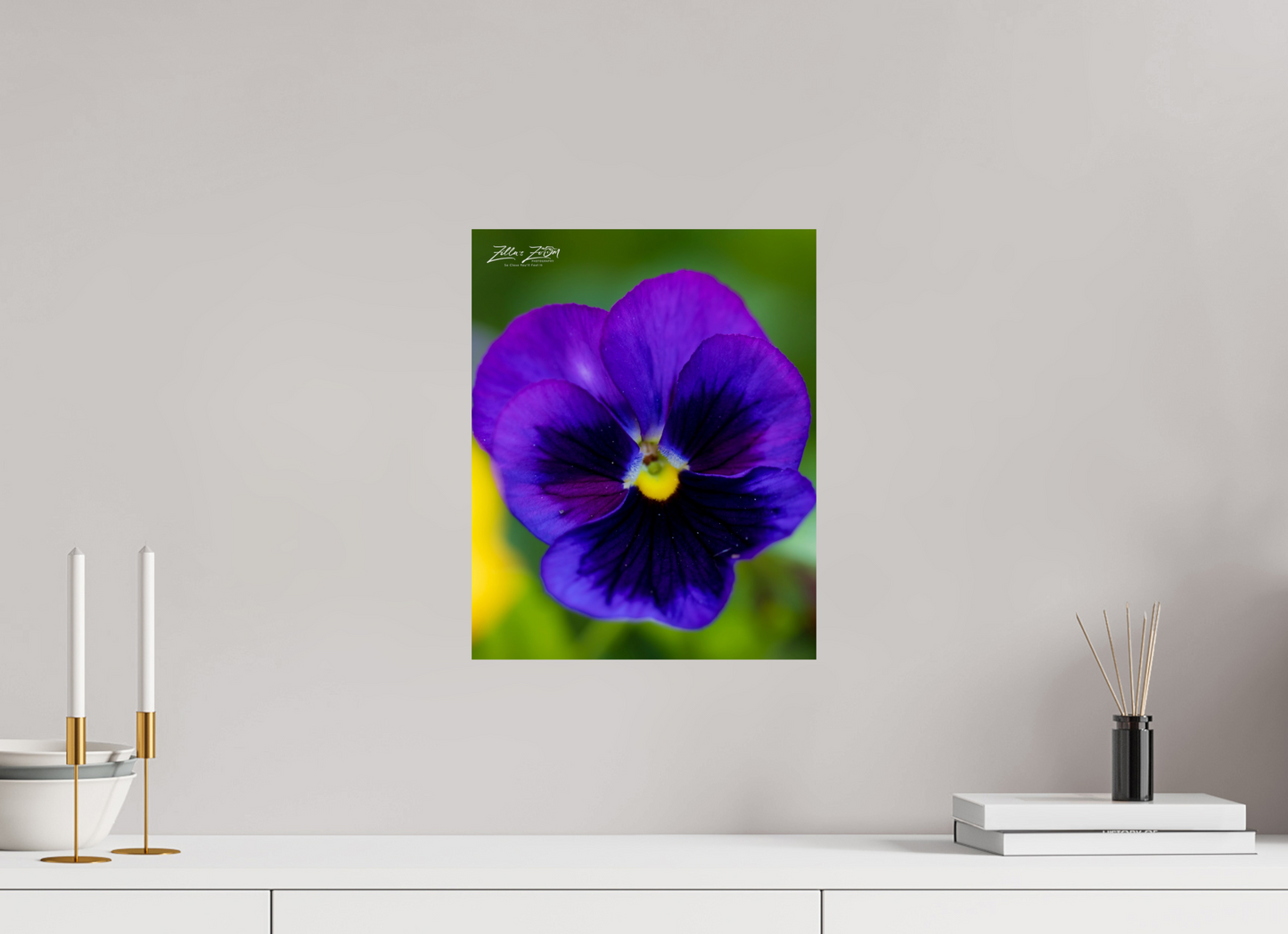 12 x 15″, Photo Print On Fuji Crystal DP II Zillas Zoom Image 117
