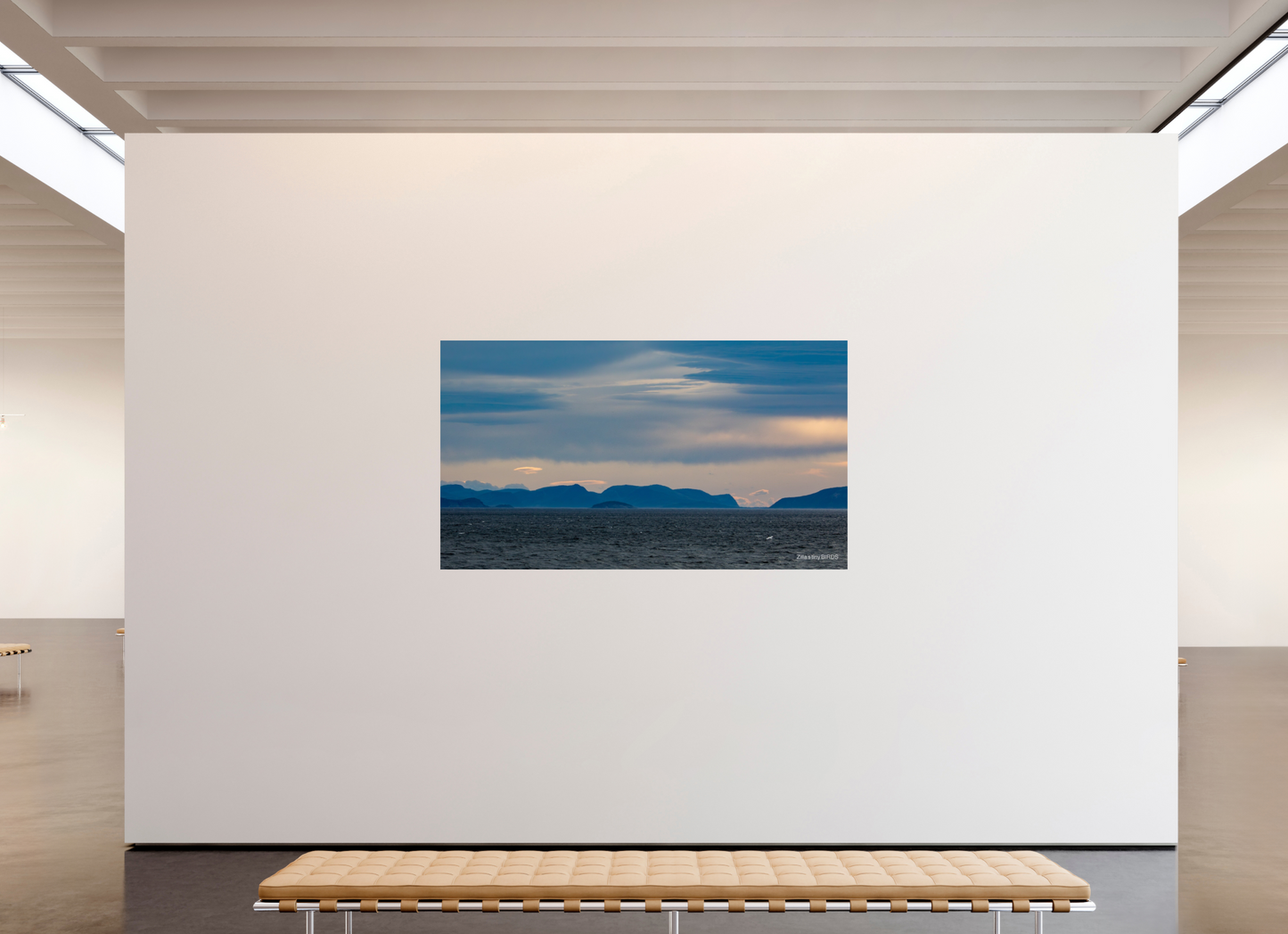 80 x 45″, Photo Print On Fuji Crystal DP II Zillas Zoom Image 216