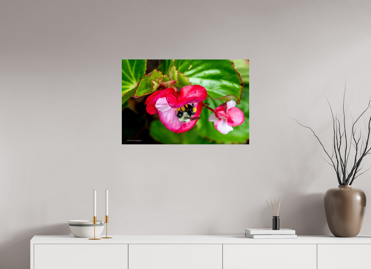 30 x 20″, Photo Print On Fuji Crystal DP II Zillas Zoom Image 96