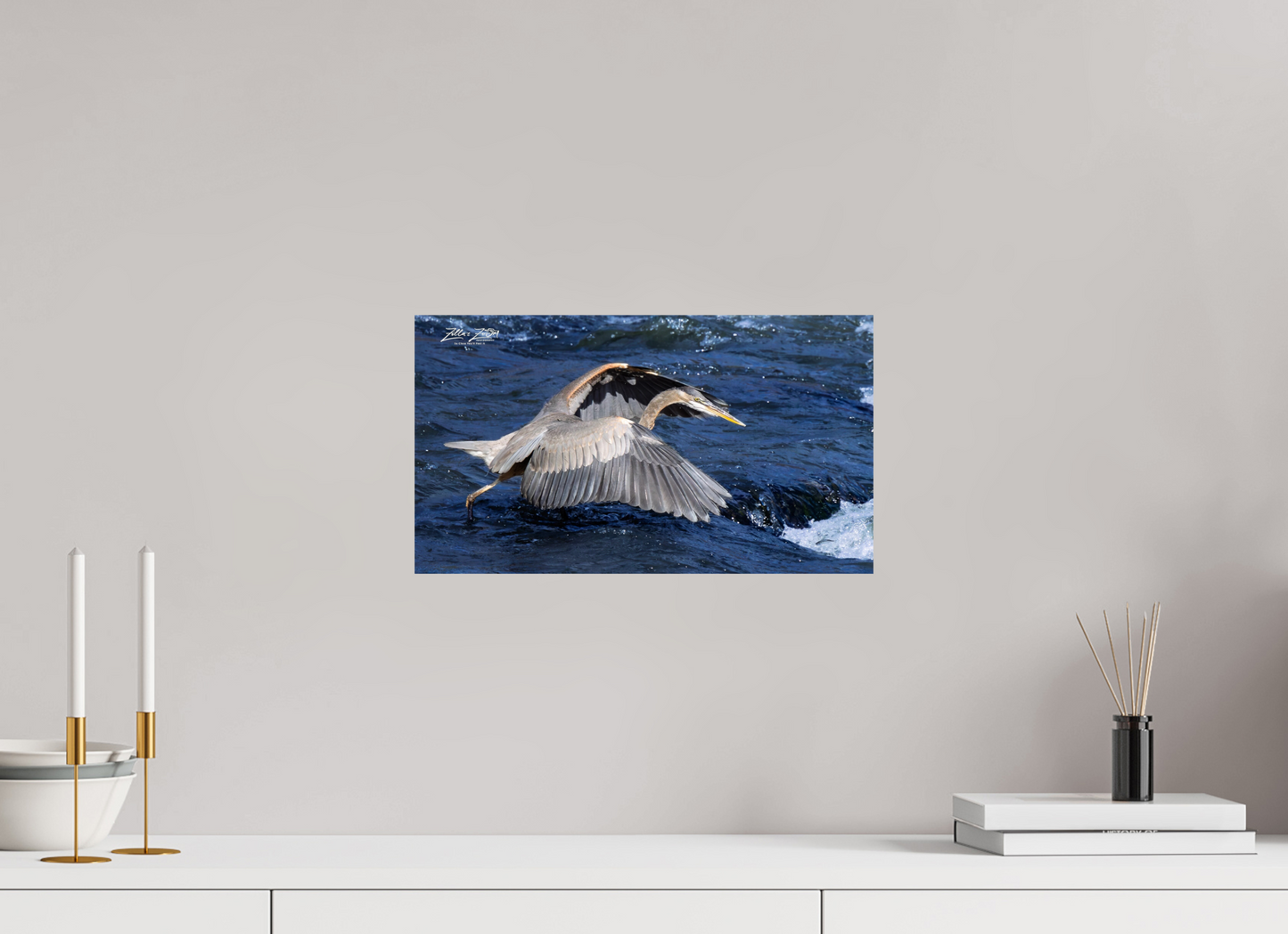 16 x 9″, Photo Print On Fuji Crystal DP II Zillas Zoom Image 286