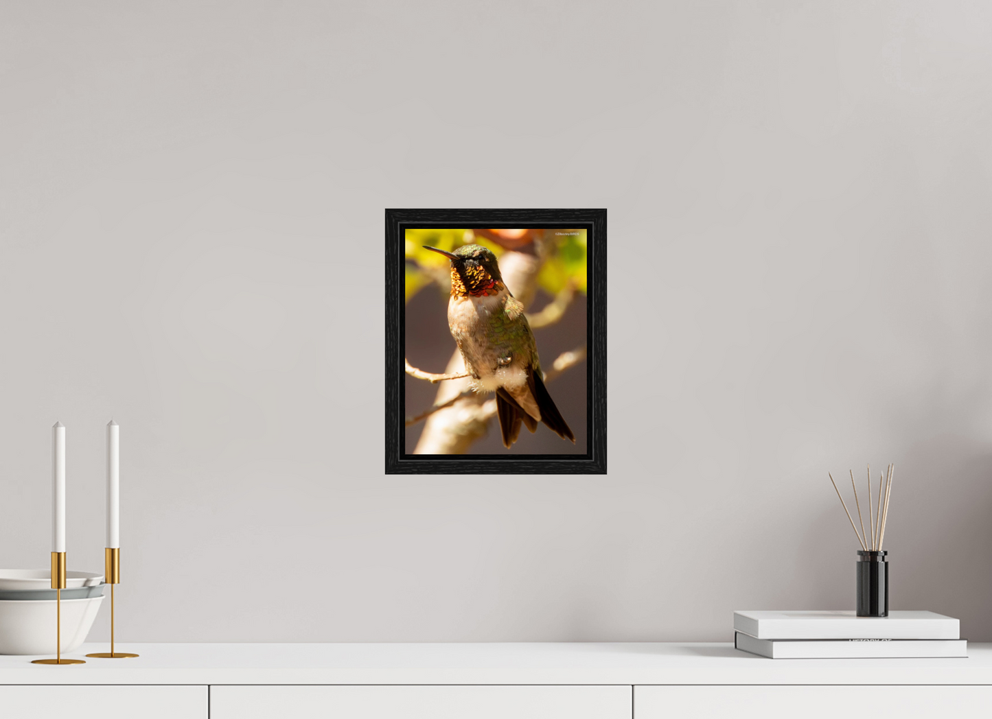 8 x 9.9″, Floater Frame Zillas Zoom Image 339