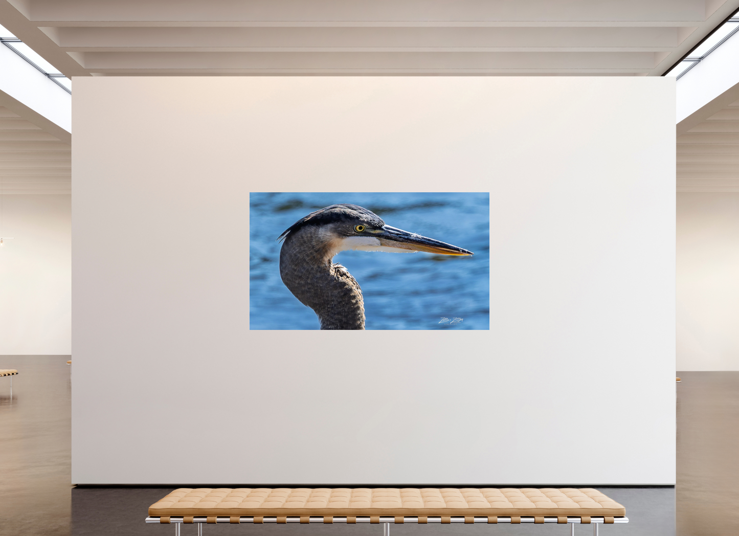 82 x 47″, Photo Print Under Acrylic Glass Zillas Zoom Image 342