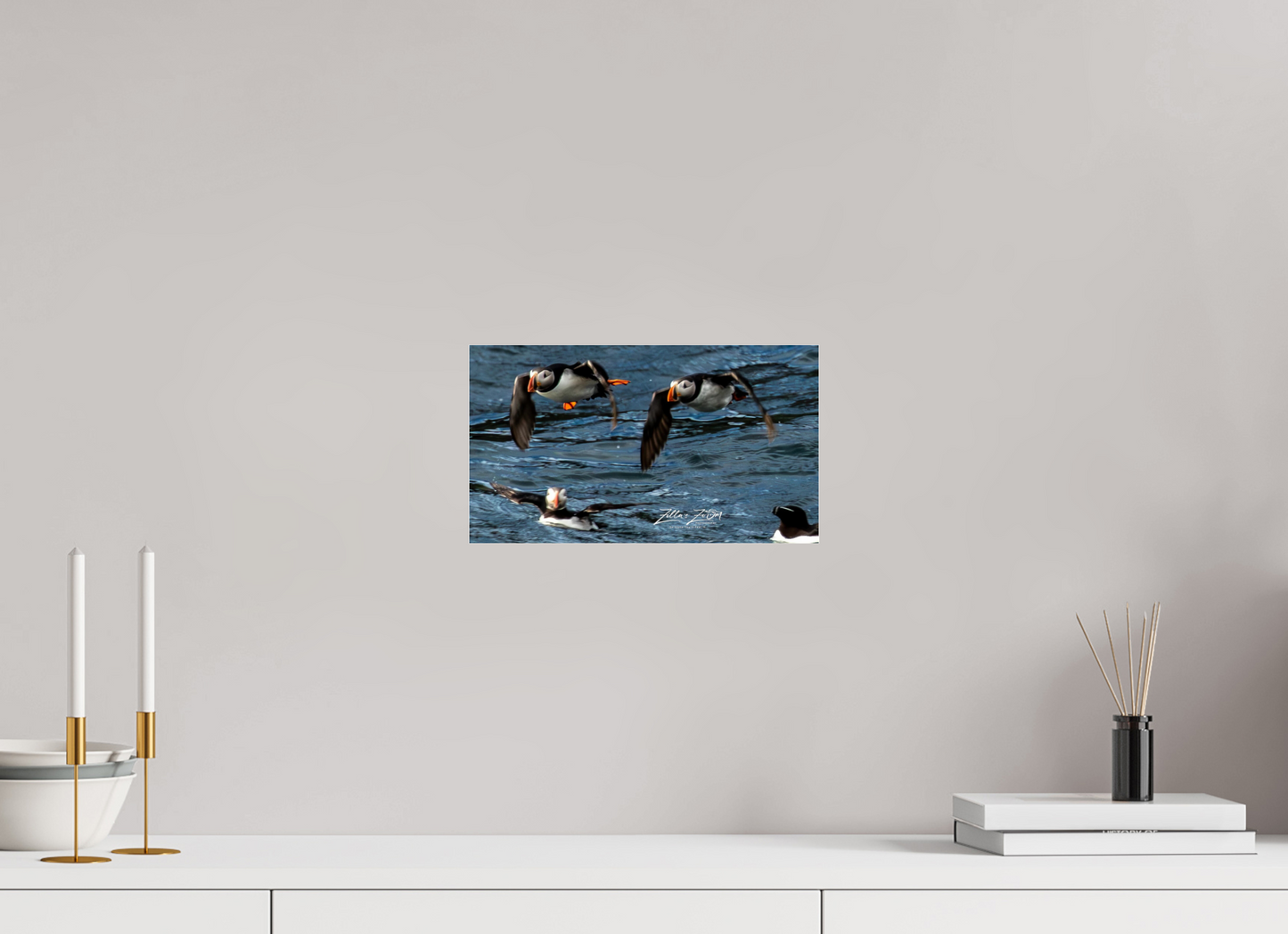 12 x 6.8″, Photo Print Under Acrylic Glass Zillas Zoom Image 340