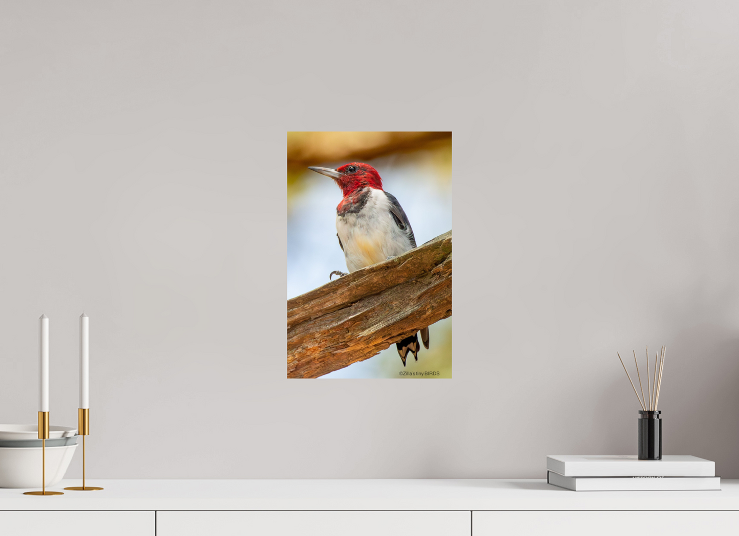 10 x 15″, Photo Print On Fuji Crystal DP II Zillas Zoom Image 442