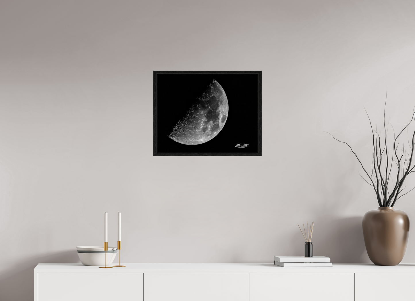 20.7 x 16″, Floater Frame Zillas zoom image 119