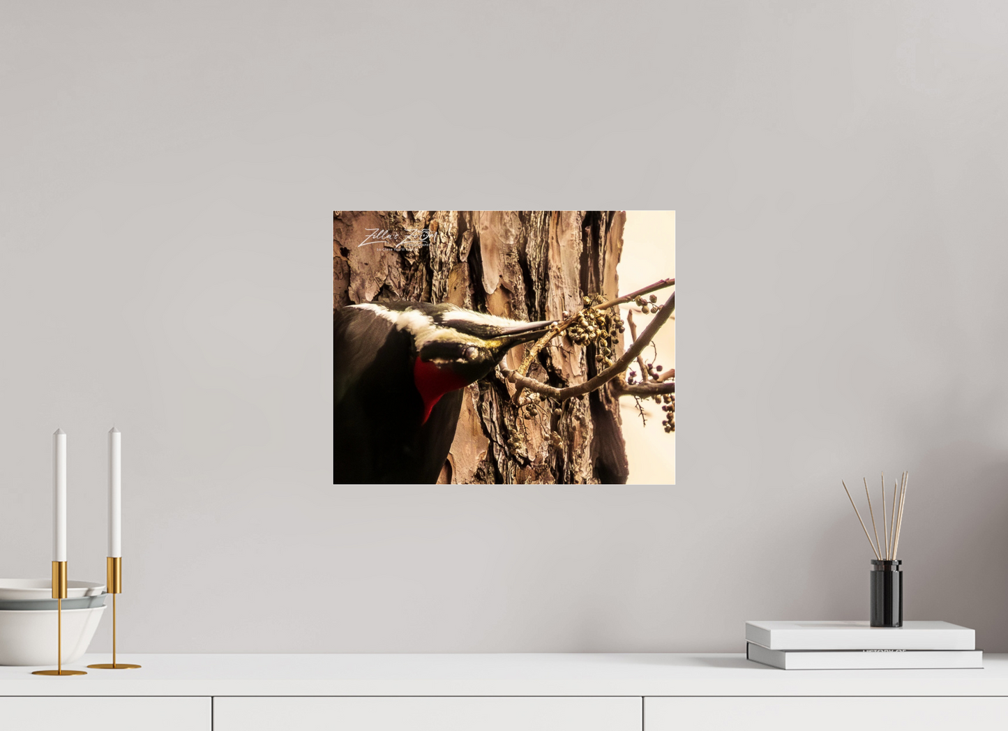 15 x 12″, Photo Print Under Acrylic Glass Zillas Zoom Image 280
