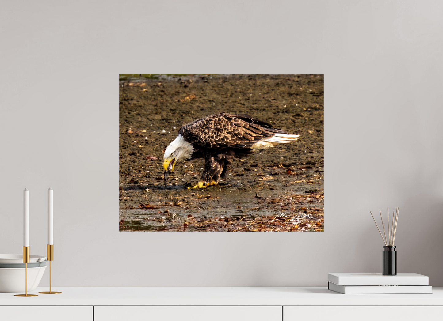 20.7 x 16″, Photo Print On Fuji Crystal DP II Zillas Zoom Image 306