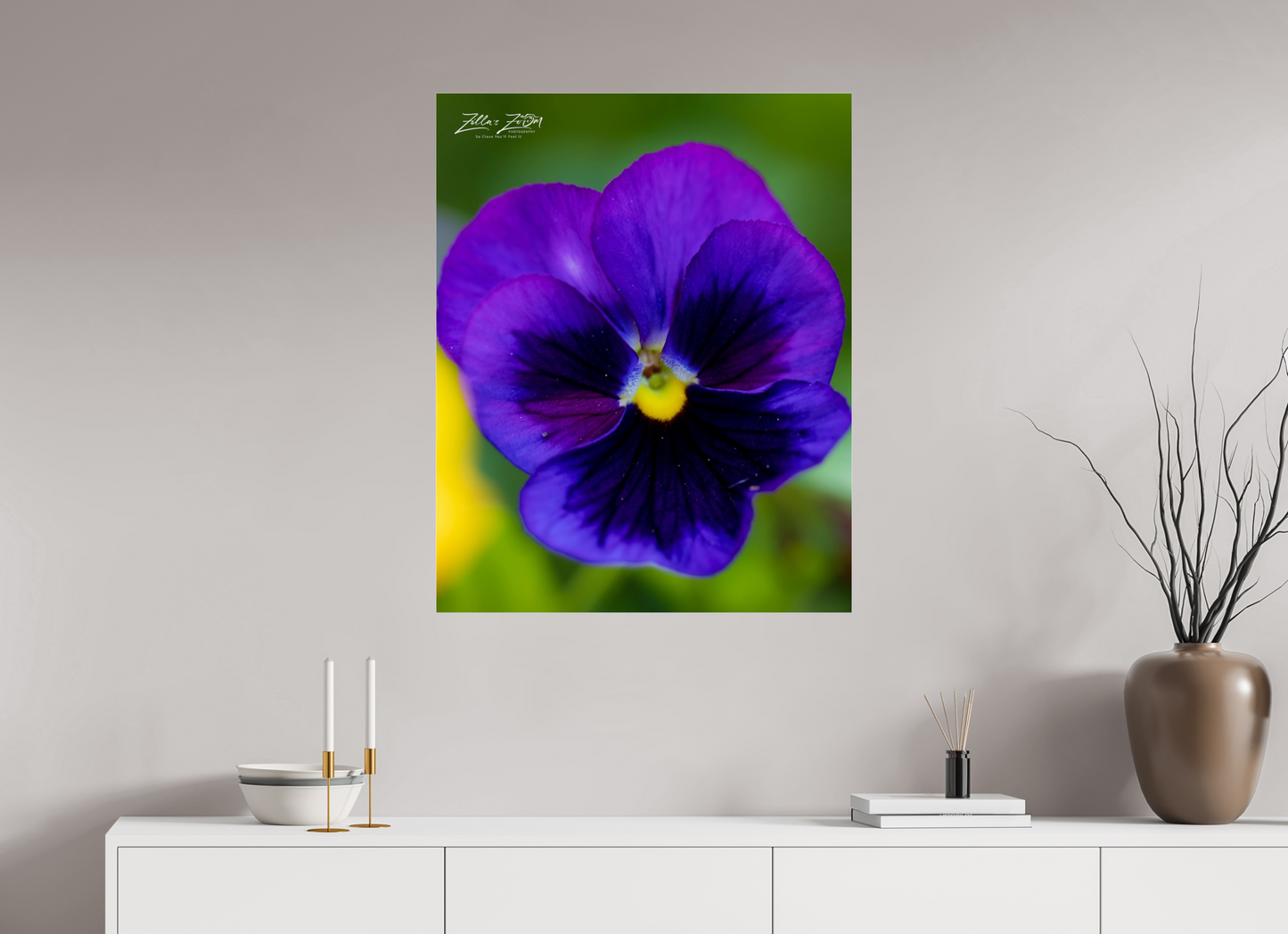 28 x 35″, Photo Print Under Acrylic Glass Zillas Zoom Image 117
