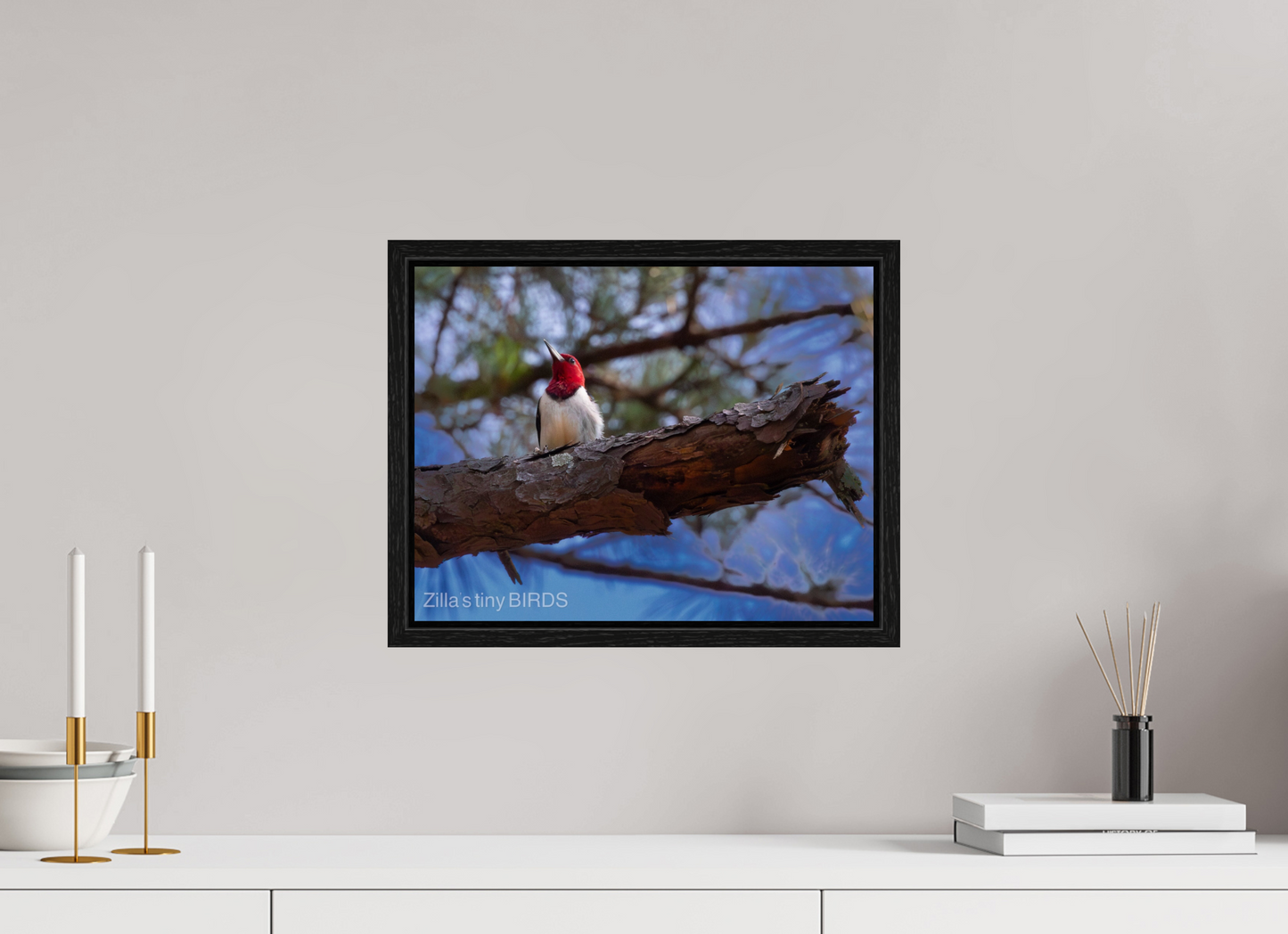 15.6 x 12″, Floater Frame Zillas Zoom Image 375