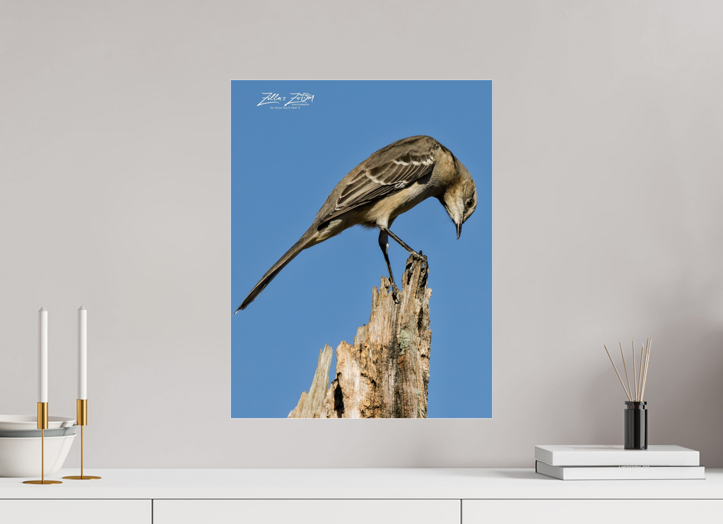 16 x 20.7″, Photo Print Under Acrylic Glass Zillas Zoom Image 410