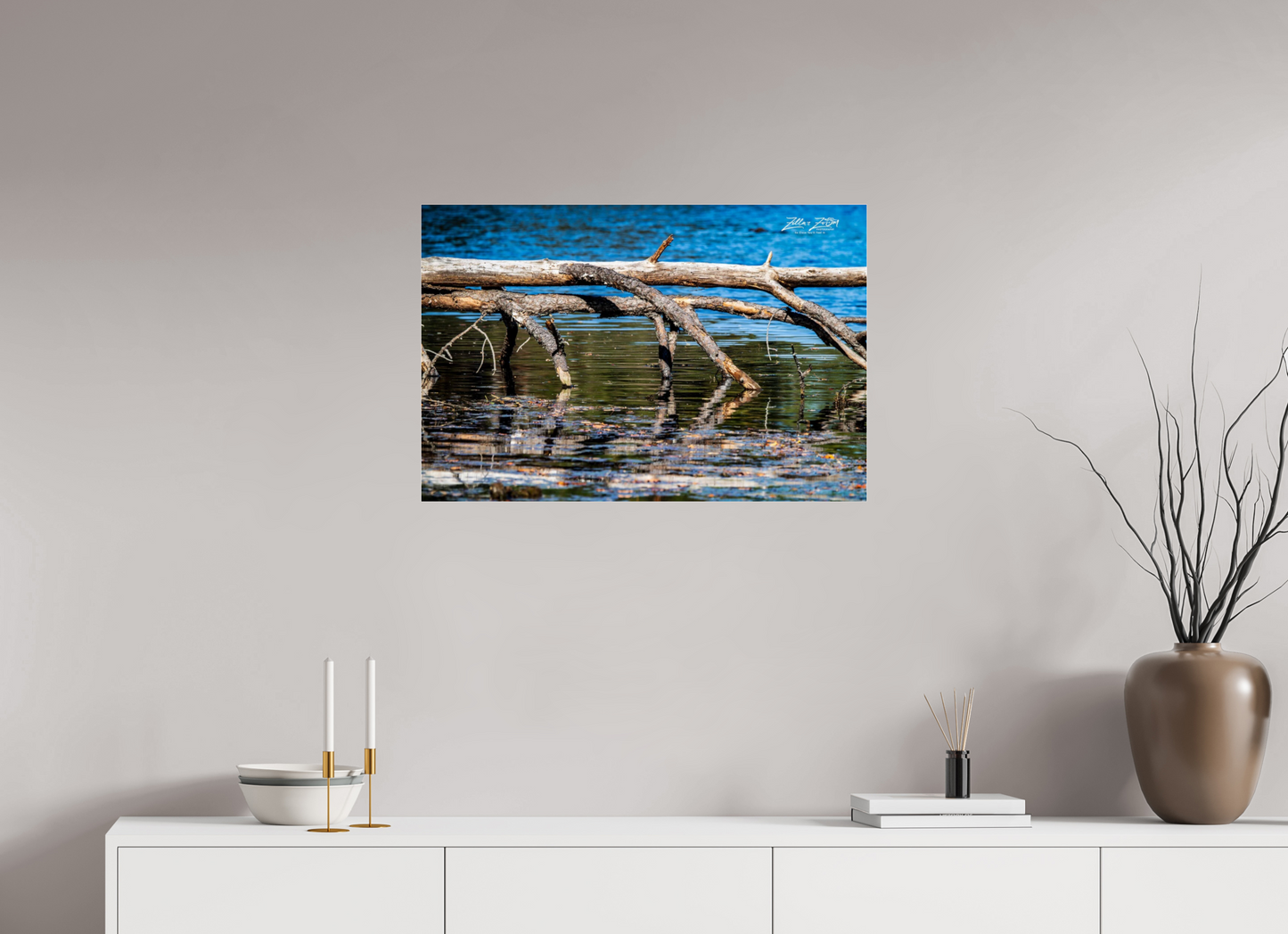 30 x 20″, Photo Print Under Acrylic Glass Zillas Zoom Image 214
