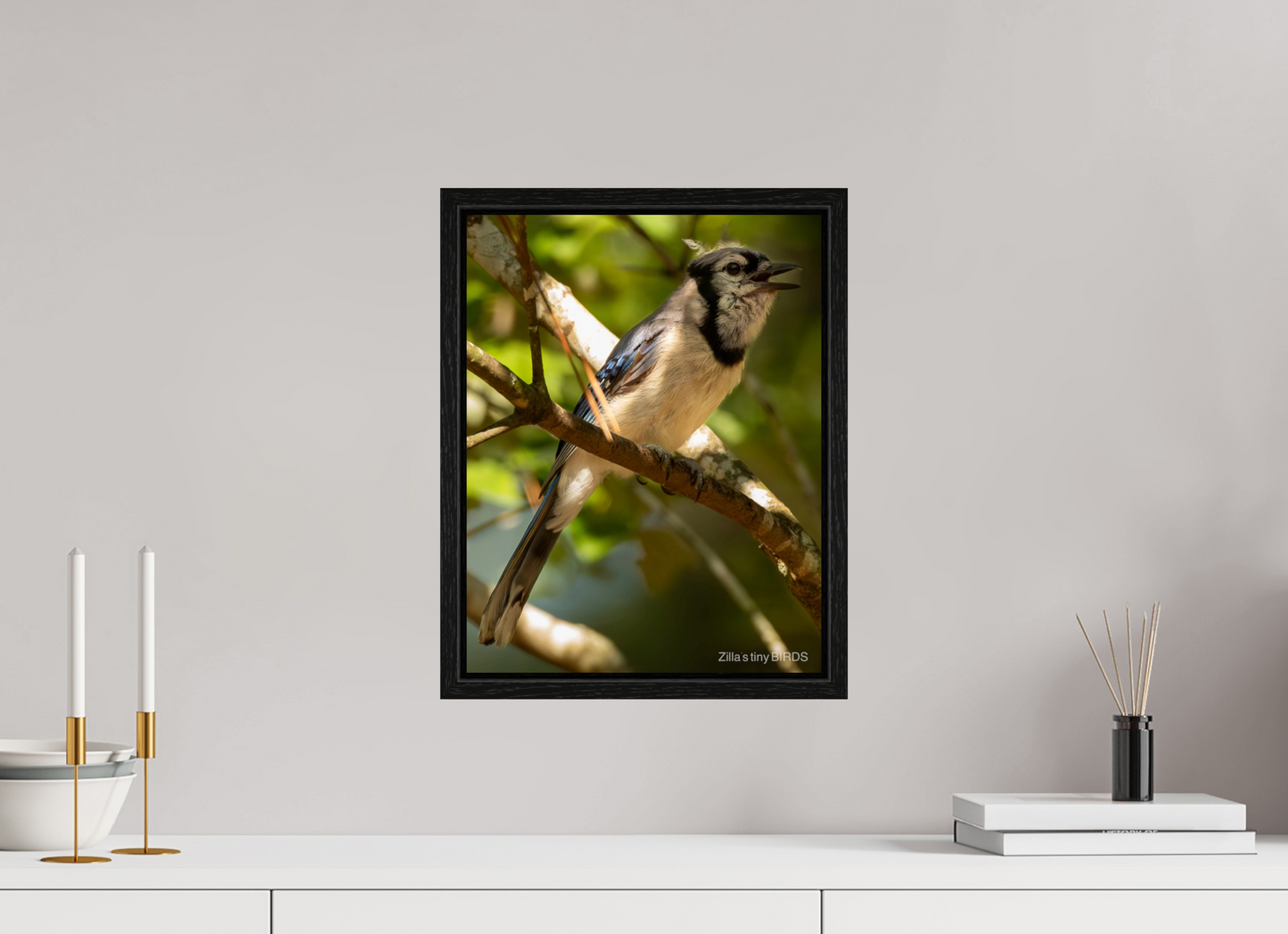 12 x 15.5″, Floater Frame Zillas Zoom Image 517