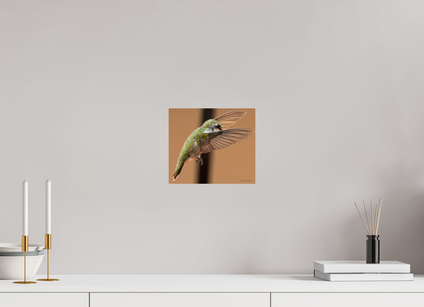 9.2 x 8″, Photo Print On Fuji Crystal DP II Zillas Zoom Image 376
