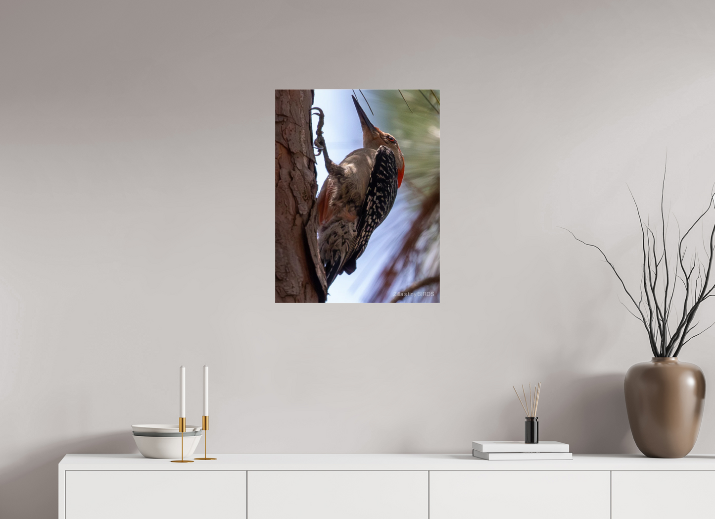 20 x 25.9″, Photo Print Under Acrylic Glass Zillas Zoom Image 474