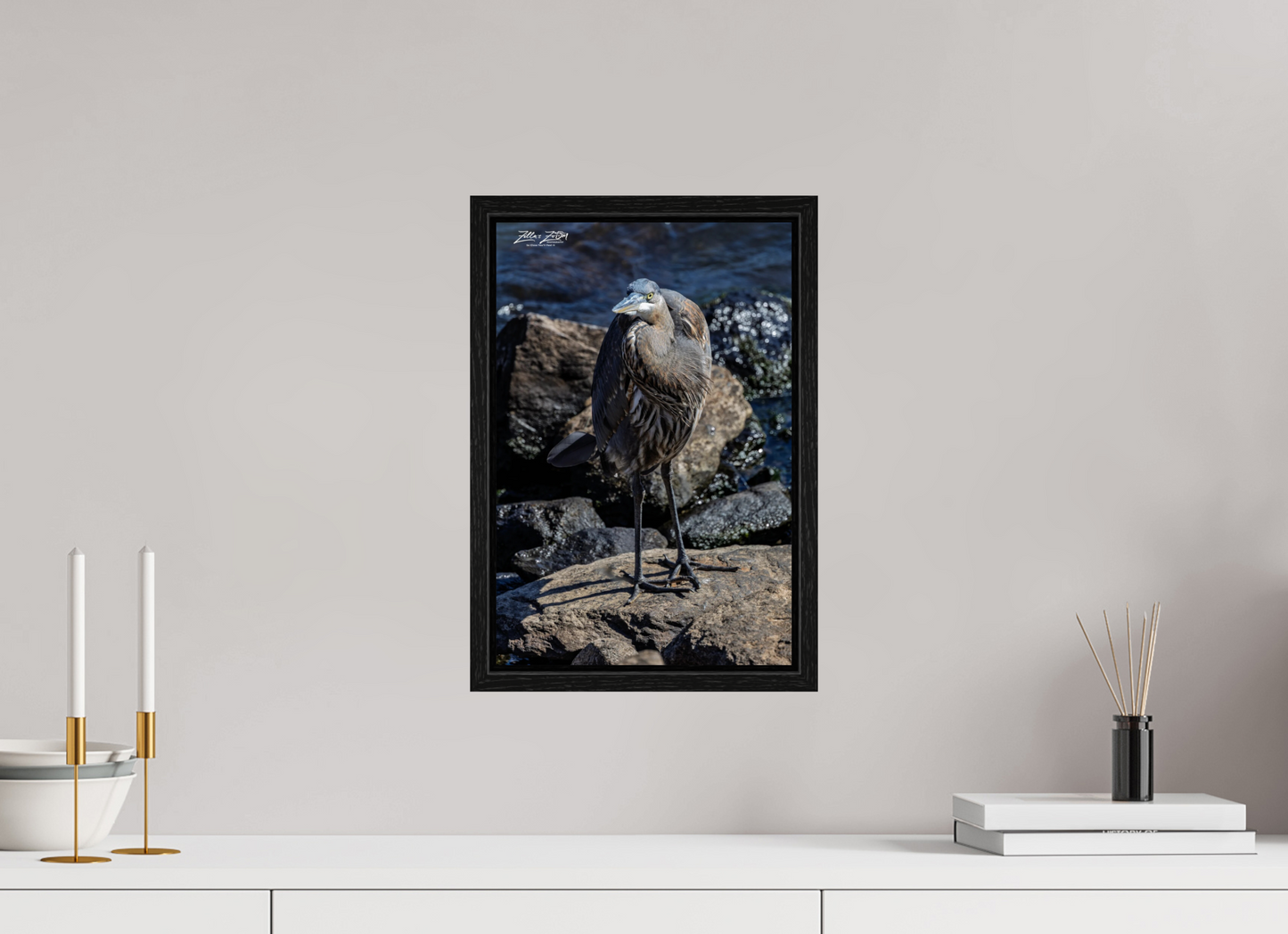 10 x 15″, Floater Frame Zillas Zoom Image 449