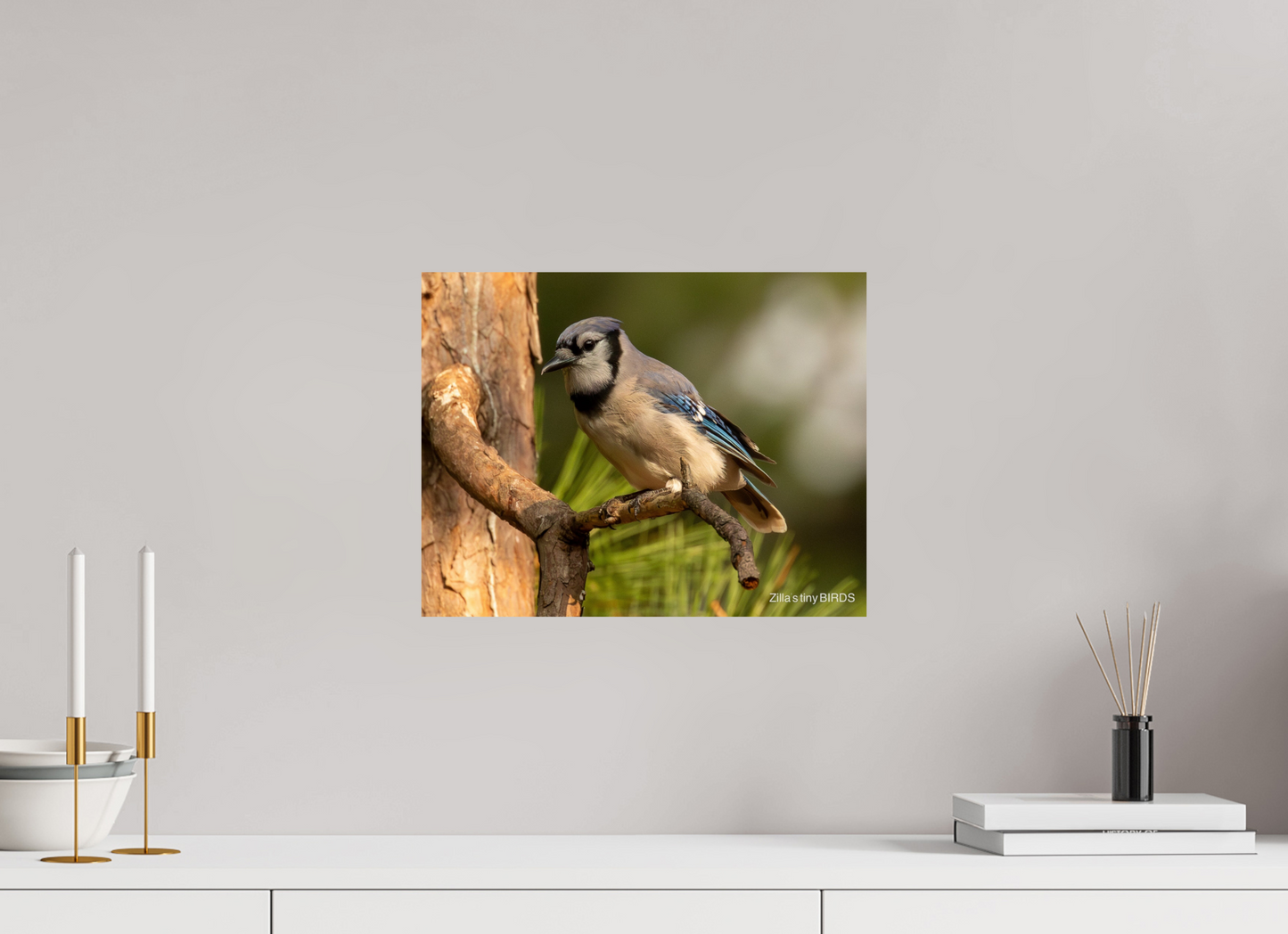 15.5 x 12″, Photo Print On Fuji Crystal DP II Zillas Zoom Image 386