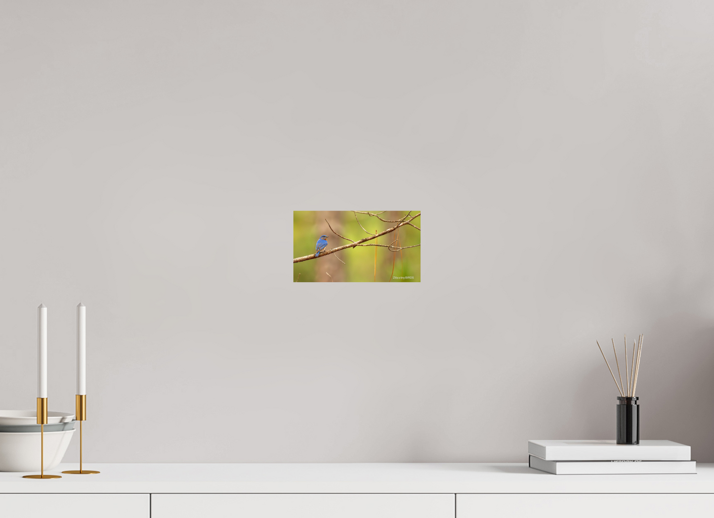 8 x 4.5″, Photo Print On Fuji Crystal DP II Zillas Zoom Image 382