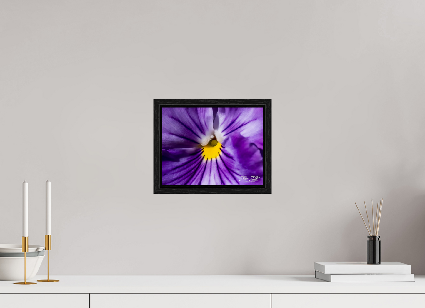 10.4 x 8″, Floater Frame Zillas Zoom Image 105