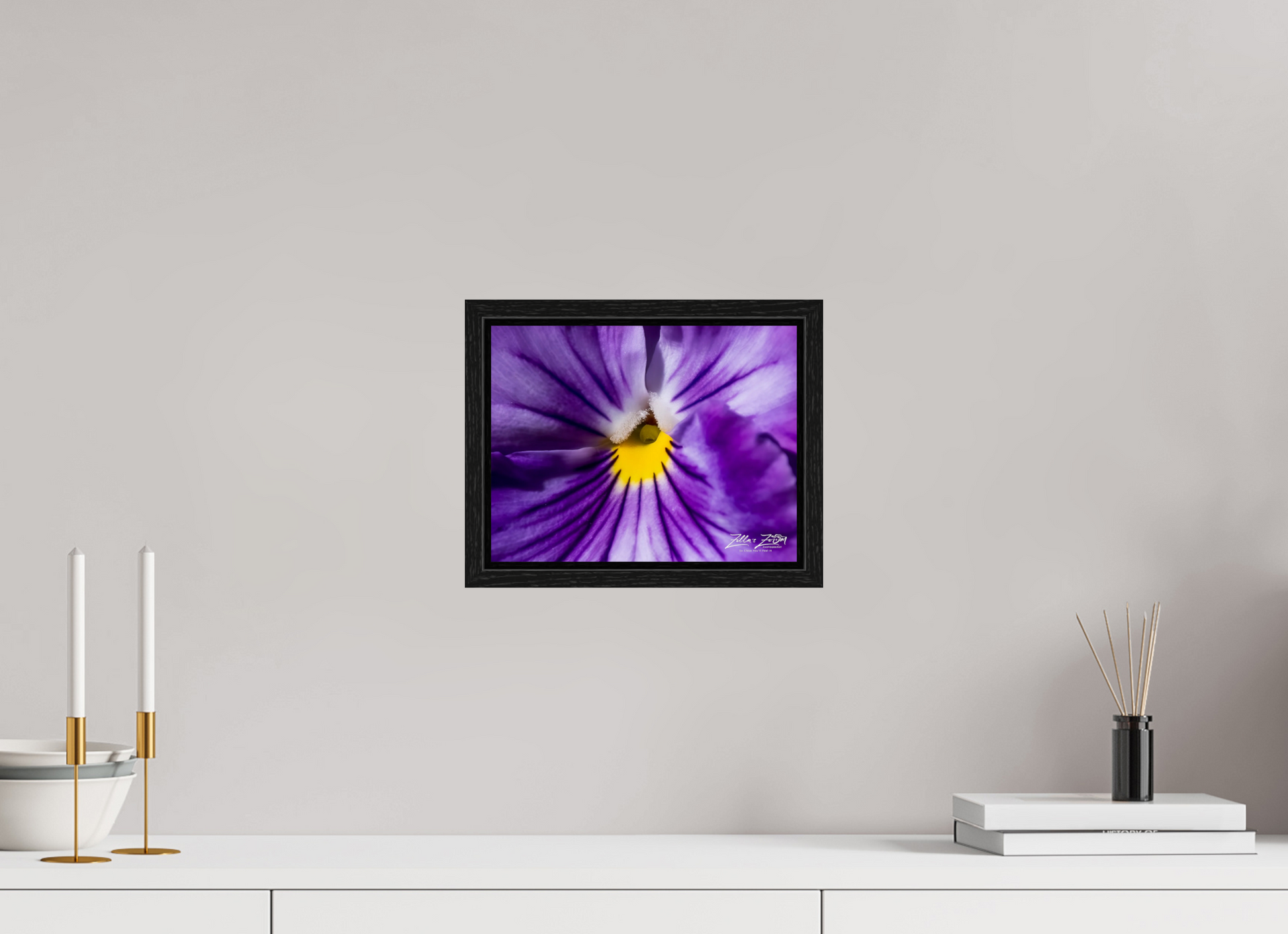 10.4 x 8″, Floater Frame Zillas Zoom Image 105