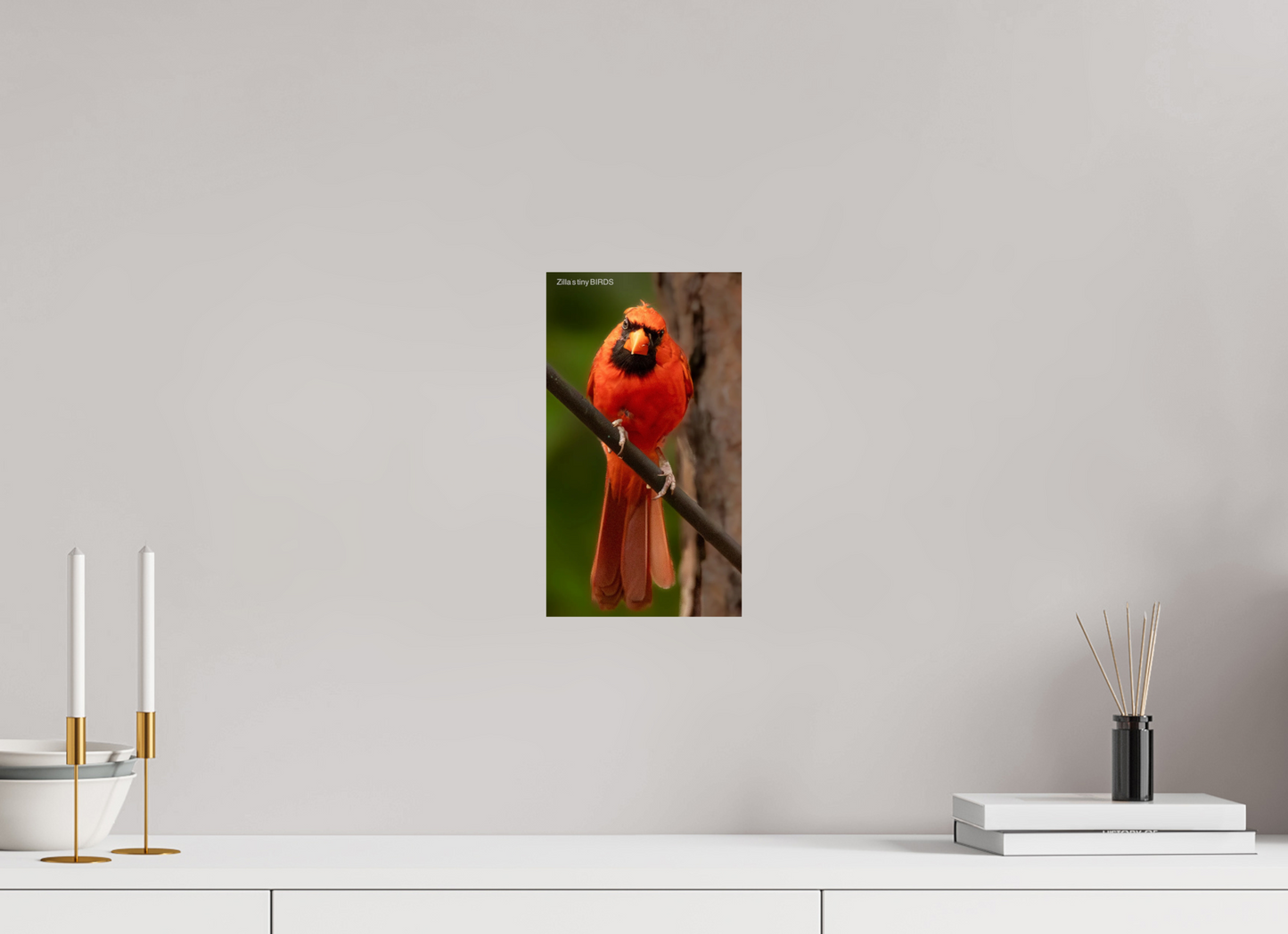6.8 x 12″, Photo Print On Fuji Crystal DP II Zillas Zoom Image 484