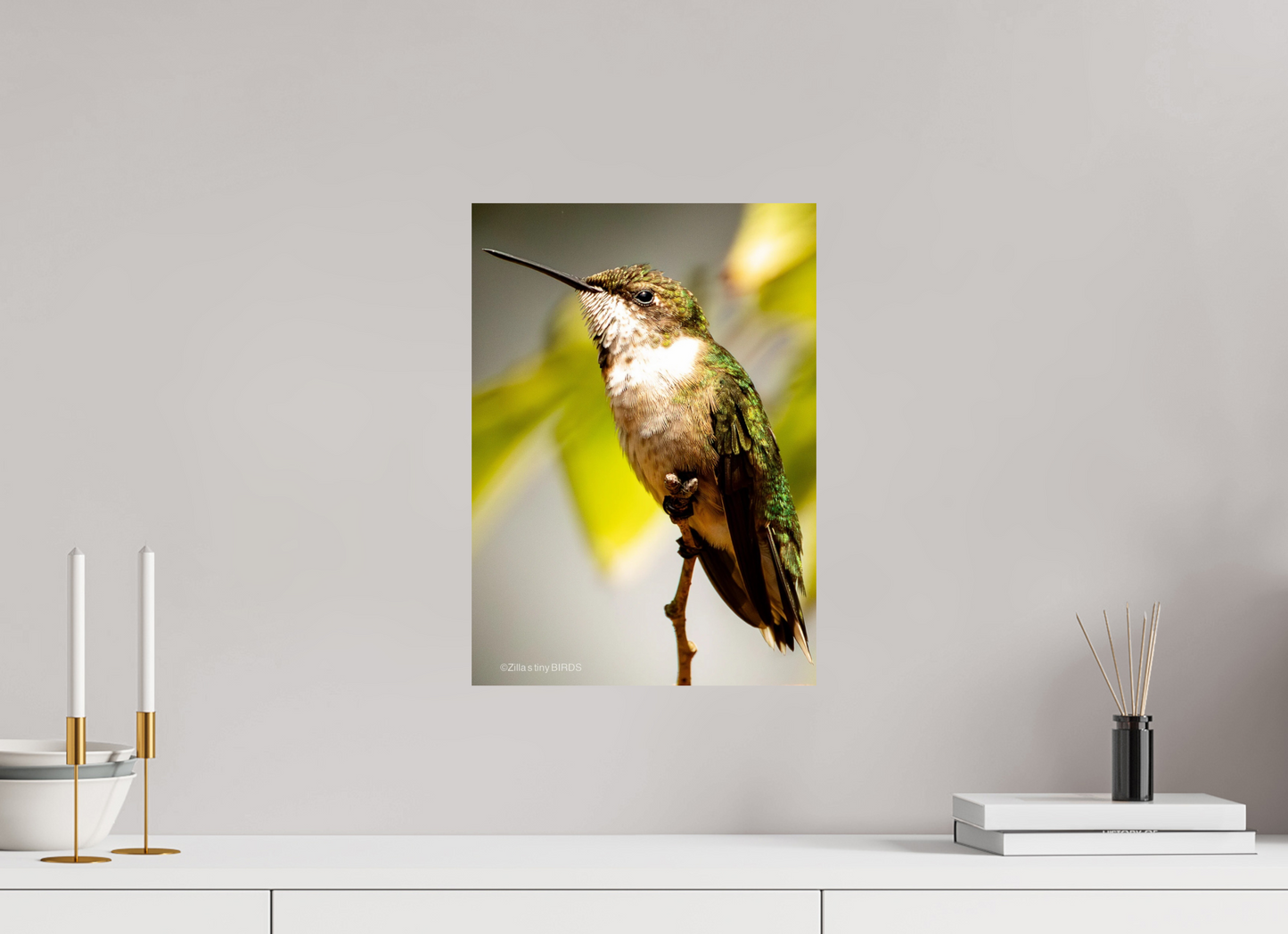 12 x 16.8″, Photo Print On Fuji Crystal DP II Zillas Zoom Image 473