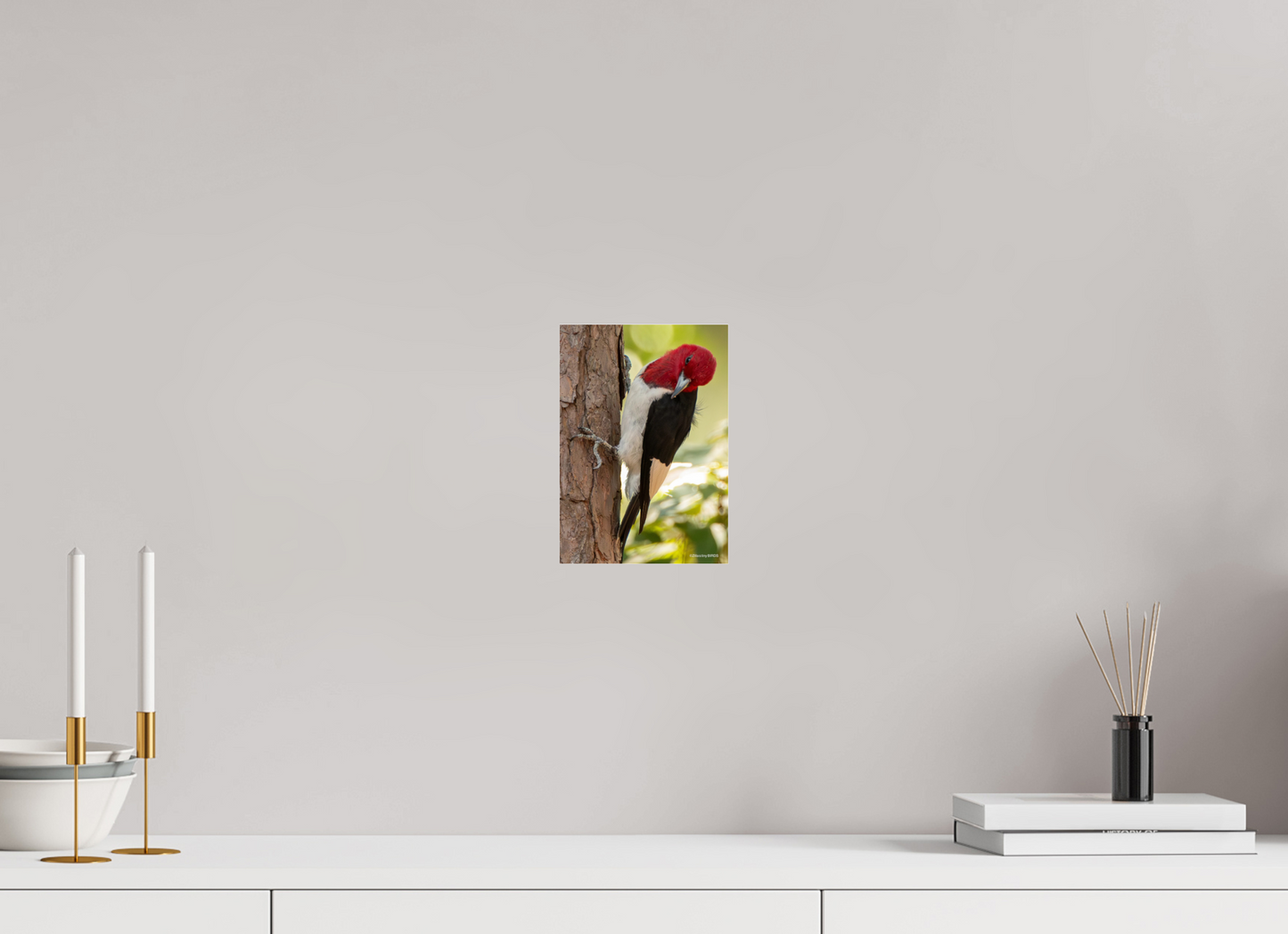 ISO A5 (14,8 x 21 cm), Photo Print Under Acrylic Glass Zillas Zoom Image 516