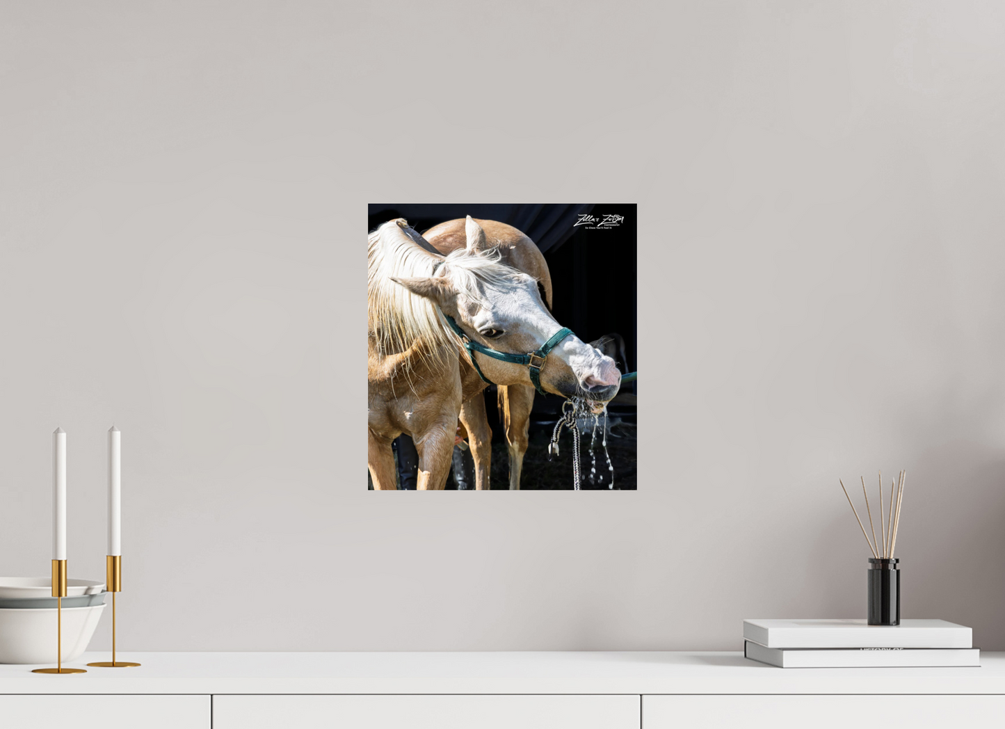 12 x 12.8″, Photo Print On Fuji Crystal DP II Zillas zoom image 148