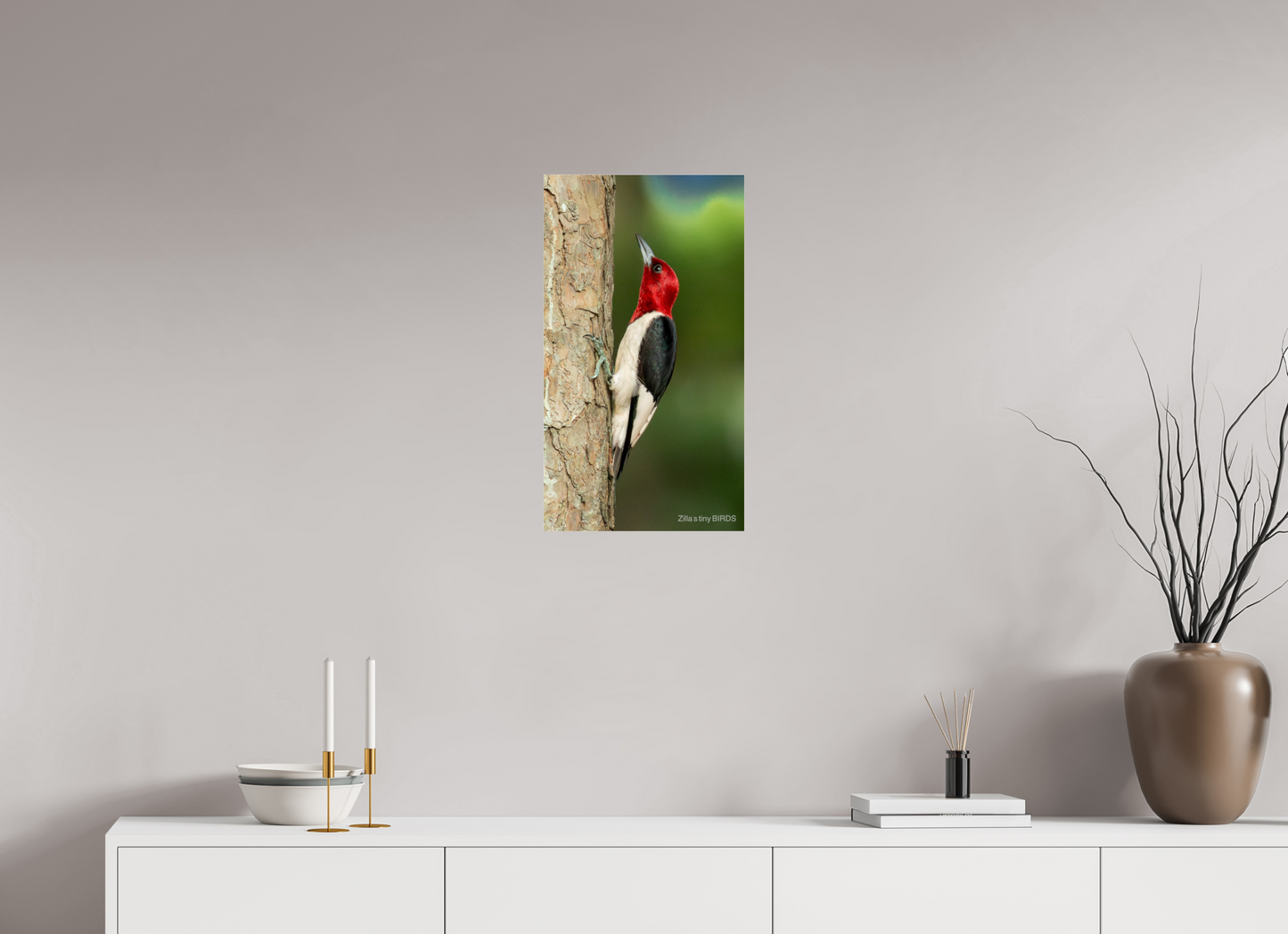 13.5 x 24″, Photo Print Under Acrylic Glass Zillas Zoom Image 492